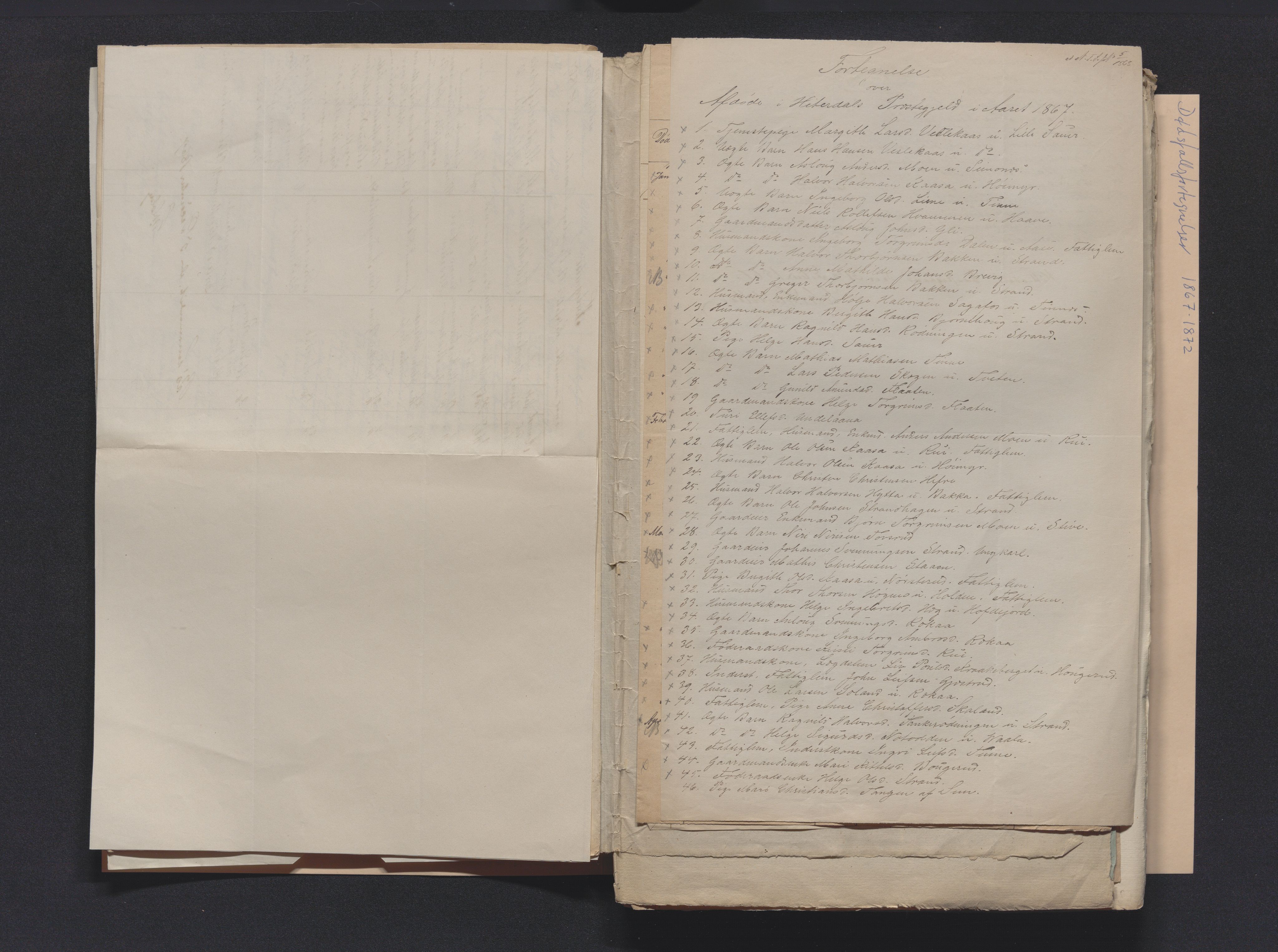 Nedre Telemark sorenskriveri, AV/SAKO-A-135/H/Ha/Hab/L0001: Dødsfallsfortegnelser
, 1867-1886, p. 21