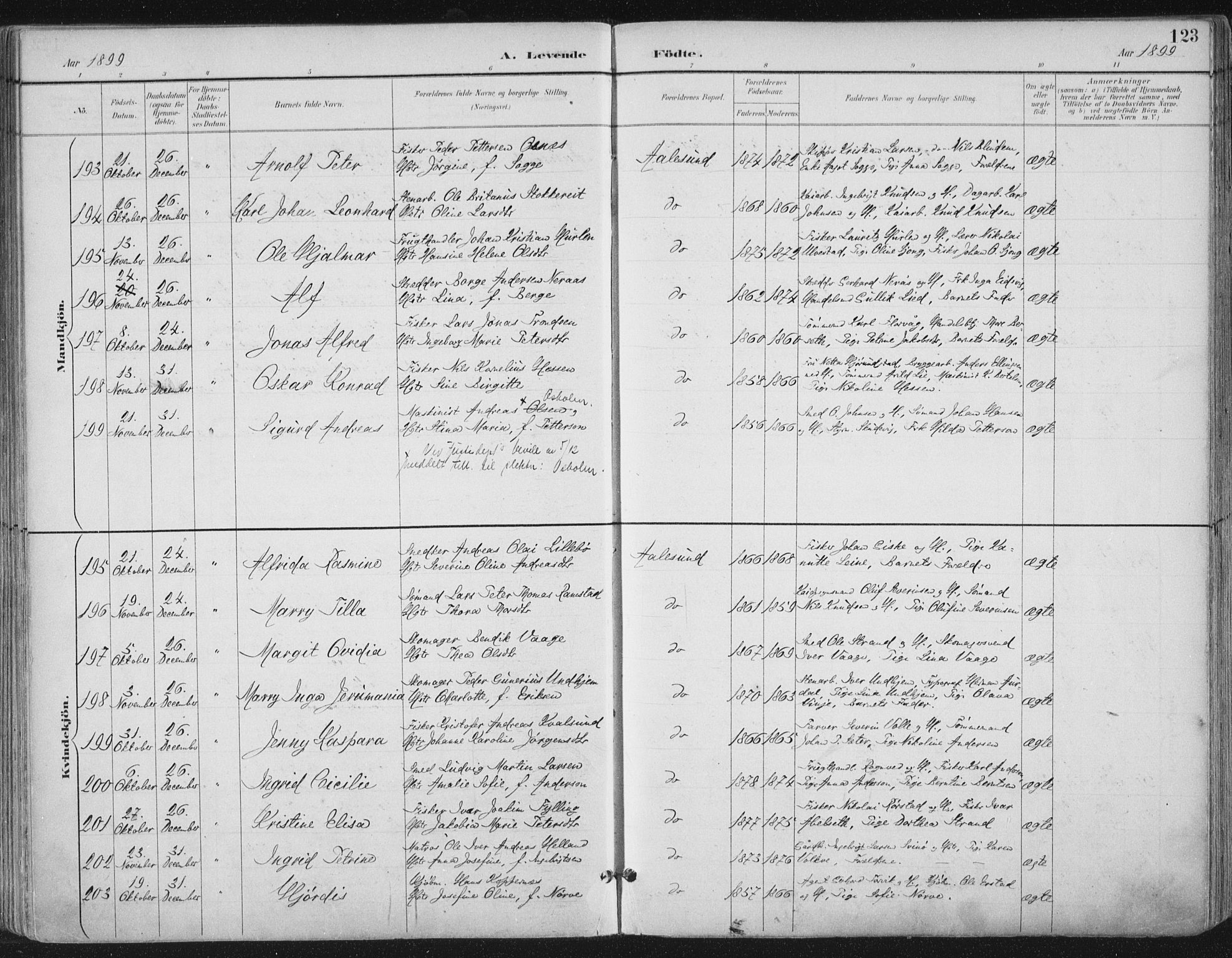Ministerialprotokoller, klokkerbøker og fødselsregistre - Møre og Romsdal, SAT/A-1454/529/L0456: Parish register (official) no. 529A06, 1894-1906, p. 123