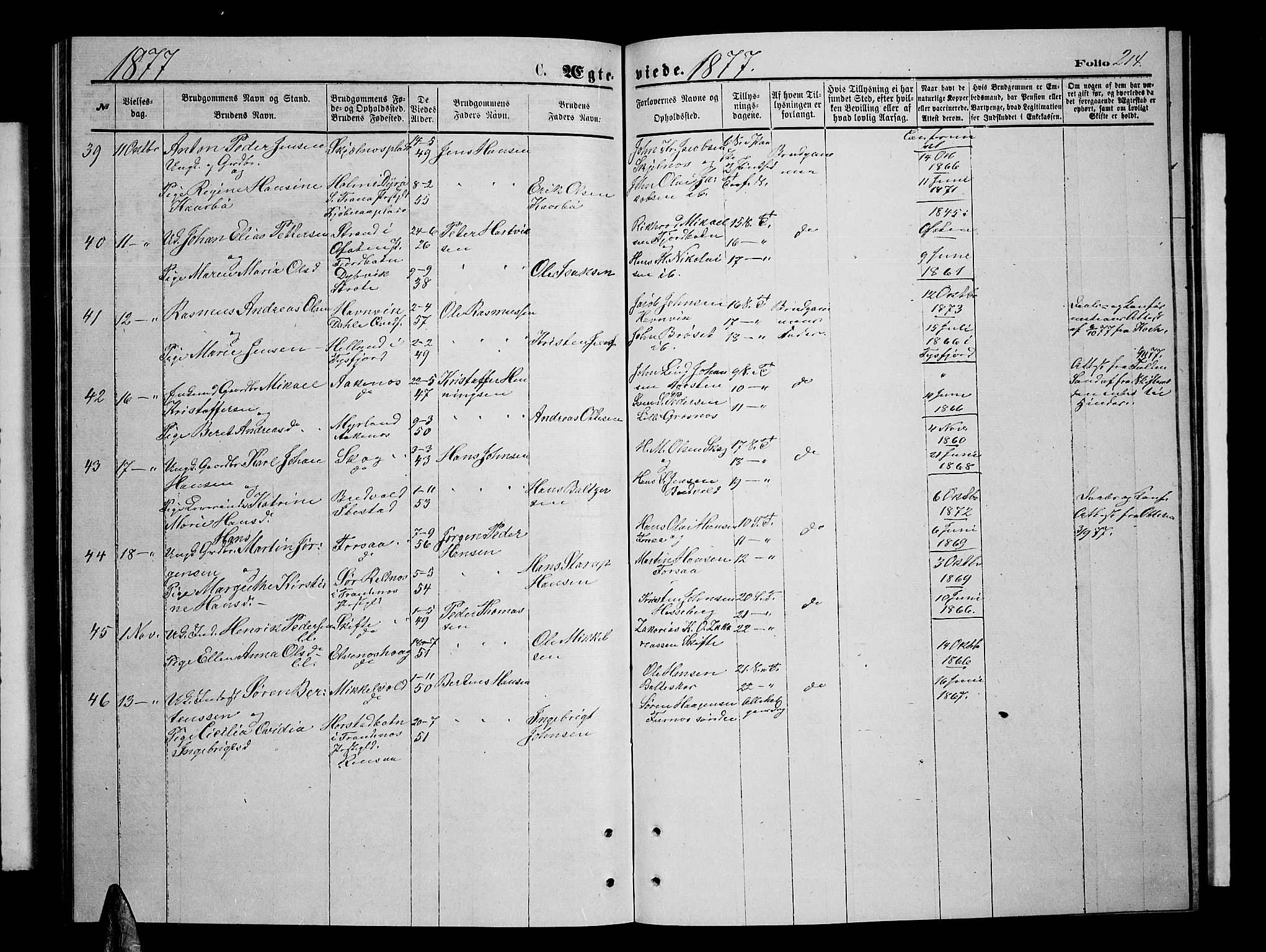 Ibestad sokneprestembete, SATØ/S-0077/H/Ha/Hab/L0006klokker: Parish register (copy) no. 6, 1871-1879, p. 214