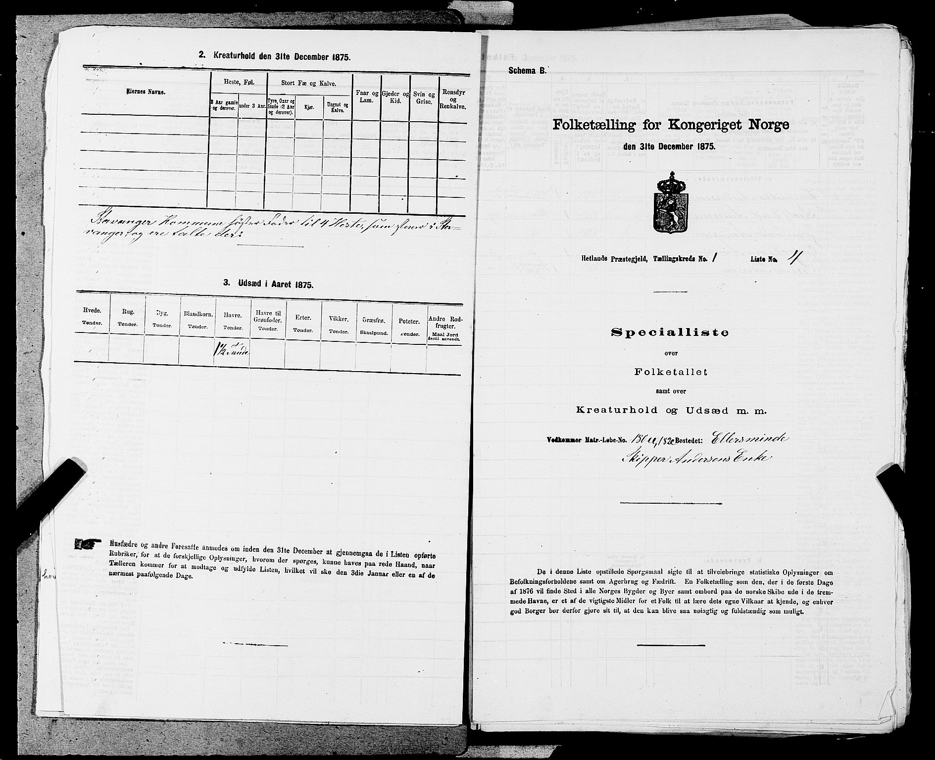 SAST, 1875 census for 1126P Hetland, 1875, p. 78