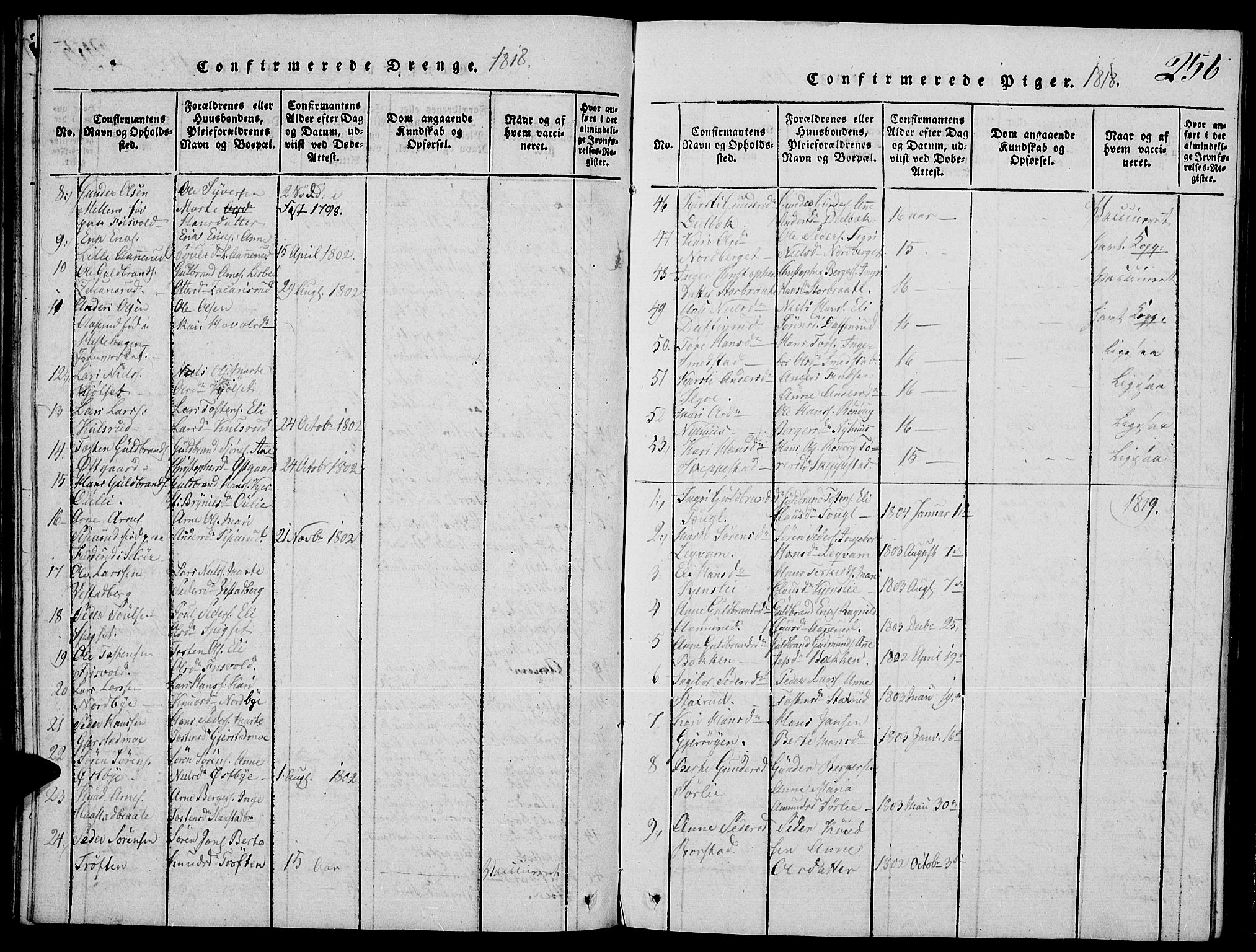 Strøm-Odalen prestekontor, SAH/PREST-028/H/Ha/Hab/L0001: Parish register (copy) no. 1, 1813-1825, p. 256
