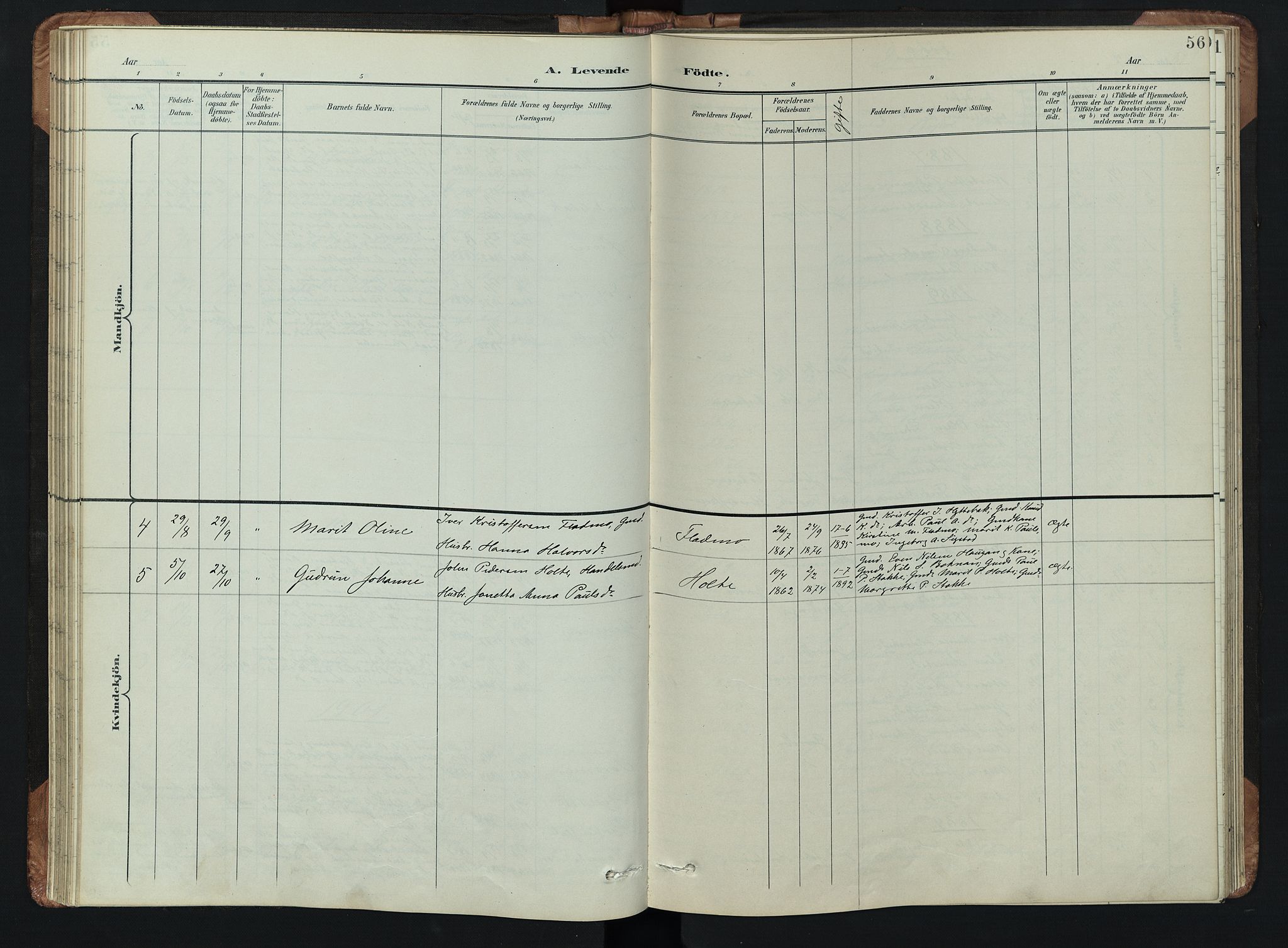 Kvikne prestekontor, SAH/PREST-064/H/Ha/Hab/L0002: Parish register (copy) no. 2, 1859-1901, p. 56