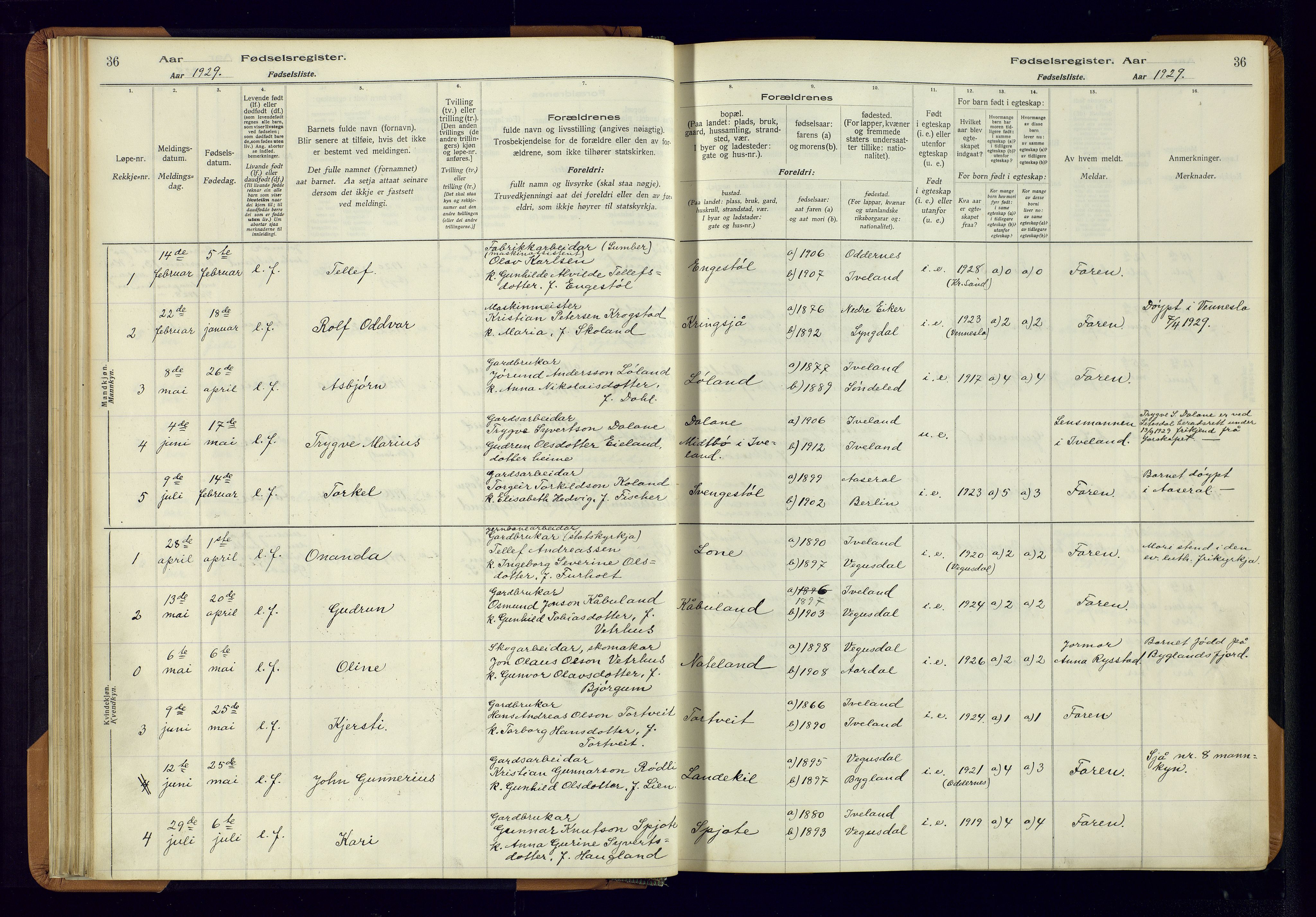 Evje sokneprestkontor, AV/SAK-1111-0008/J/Jc/L0003: Birth register no. II.4.3, 1916-1982, p. 36