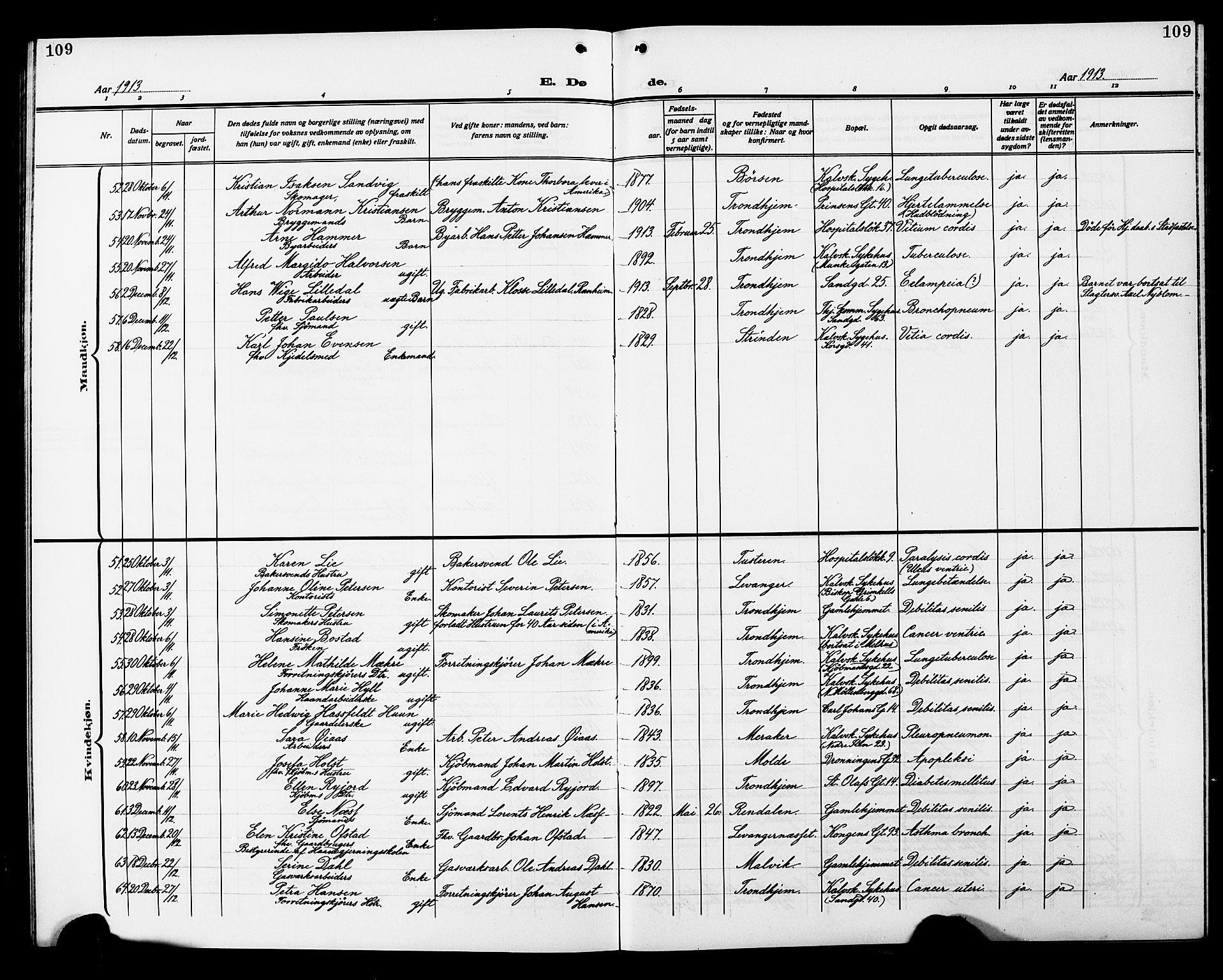 Ministerialprotokoller, klokkerbøker og fødselsregistre - Sør-Trøndelag, SAT/A-1456/602/L0147: Parish register (copy) no. 602C15, 1911-1924, p. 109