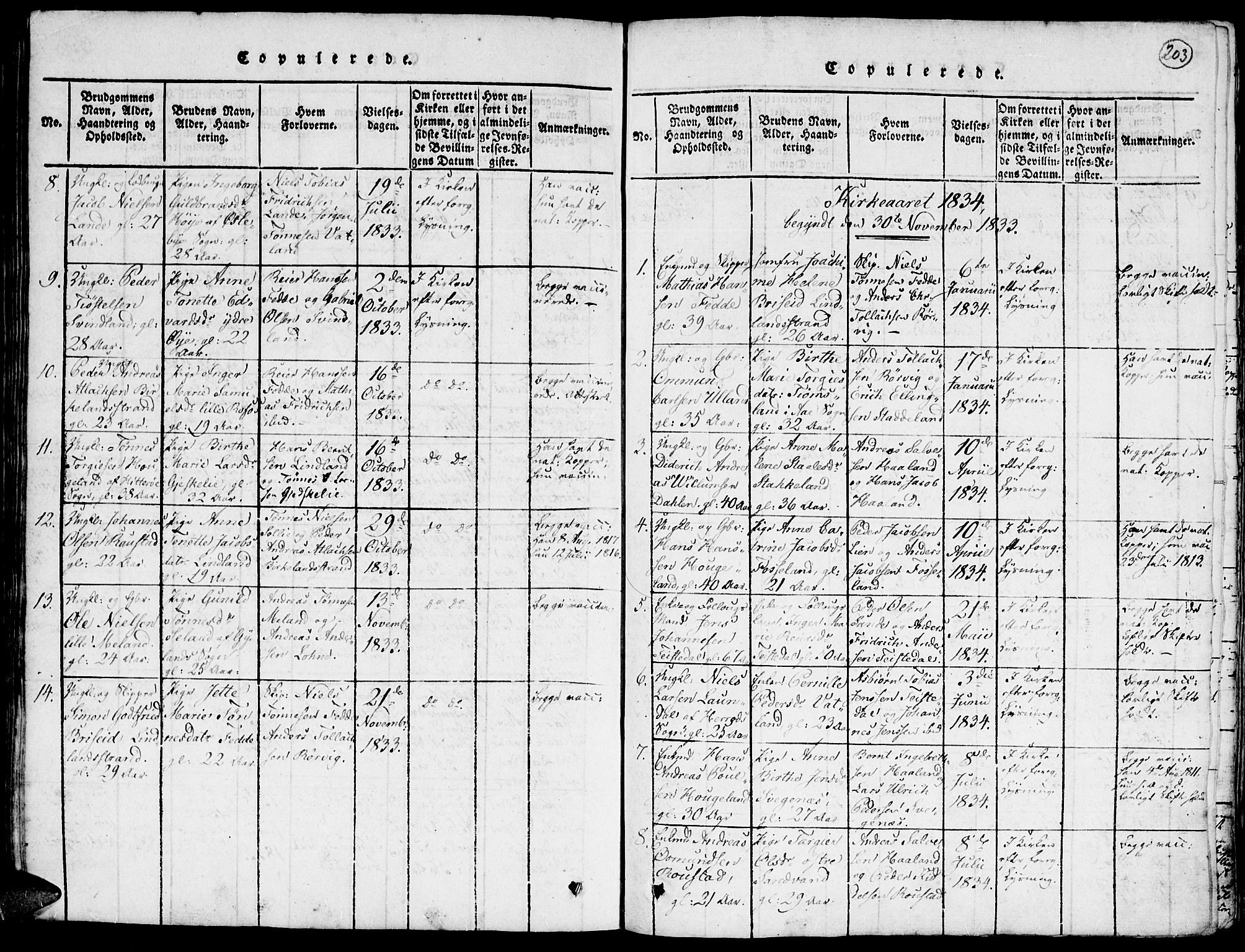 Kvinesdal sokneprestkontor, SAK/1111-0026/F/Fa/Faa/L0001: Parish register (official) no. A 1, 1815-1849, p. 203