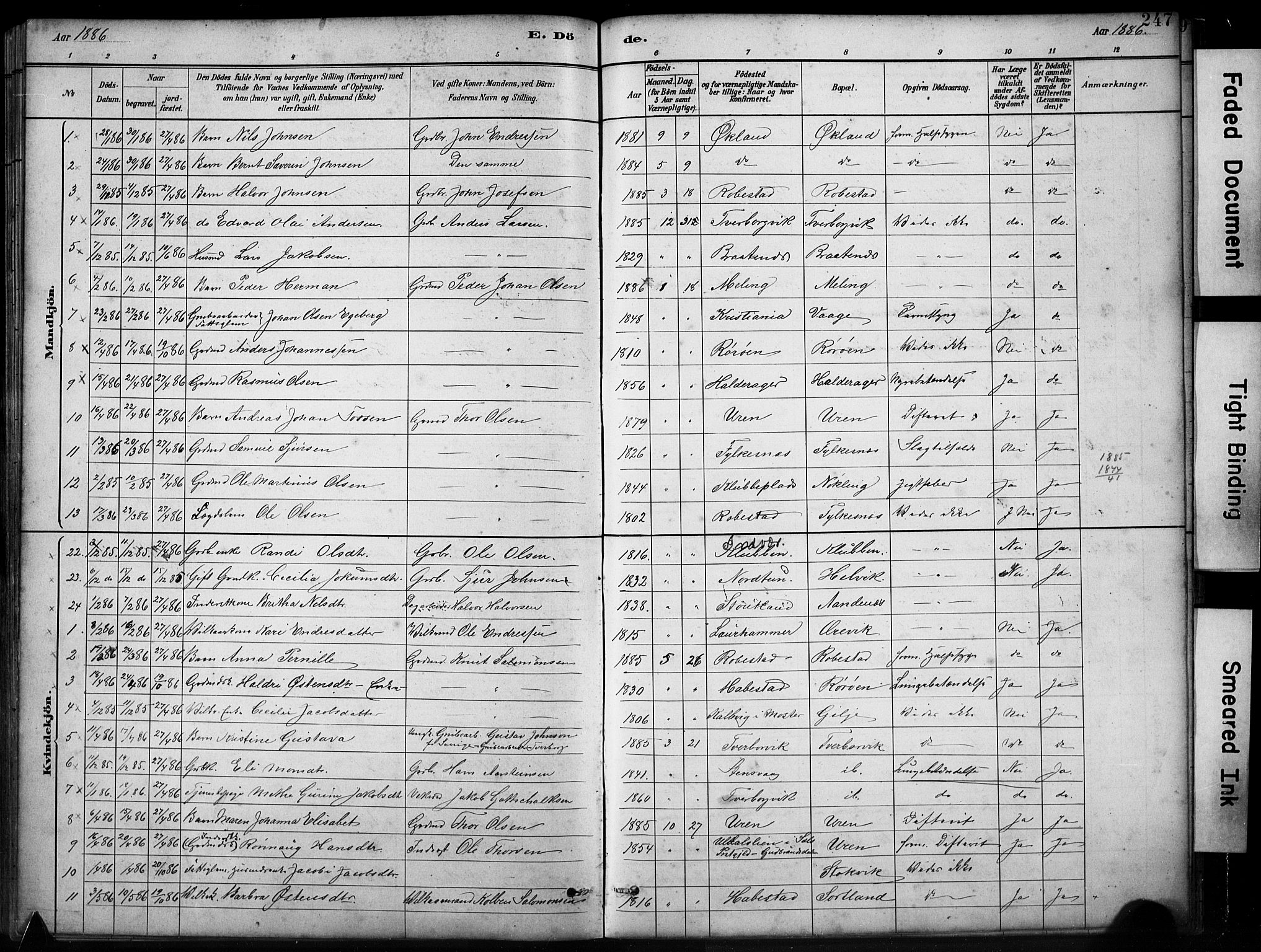 Finnås sokneprestembete, SAB/A-99925/H/Ha/Hab/Habb/L0003: Parish register (copy) no. B 3, 1882-1897, p. 247