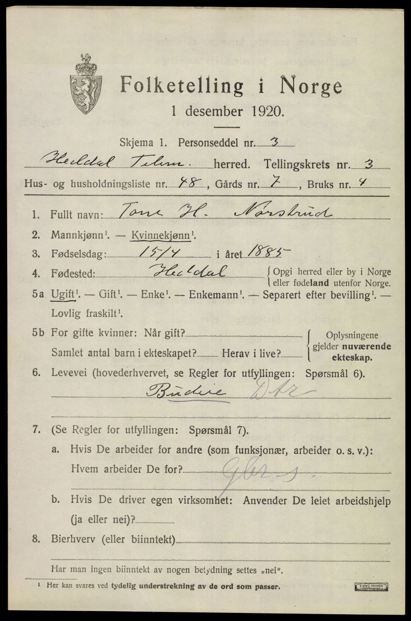 SAKO, 1920 census for Heddal, 1920, p. 4132