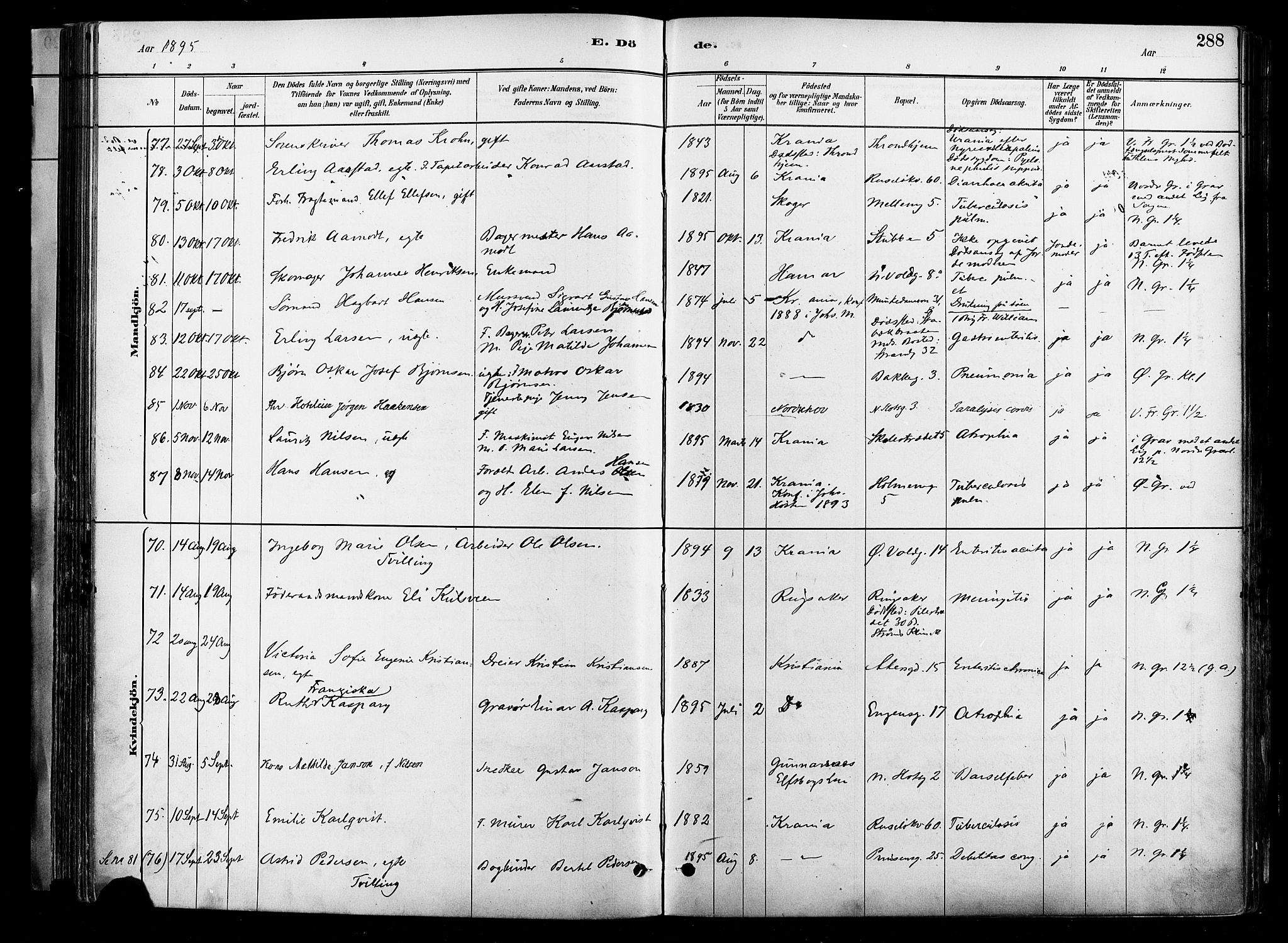 Johannes prestekontor Kirkebøker, AV/SAO-A-10852/F/Fa/L0004: Parish register (official) no. 4, 1883-1907, p. 288