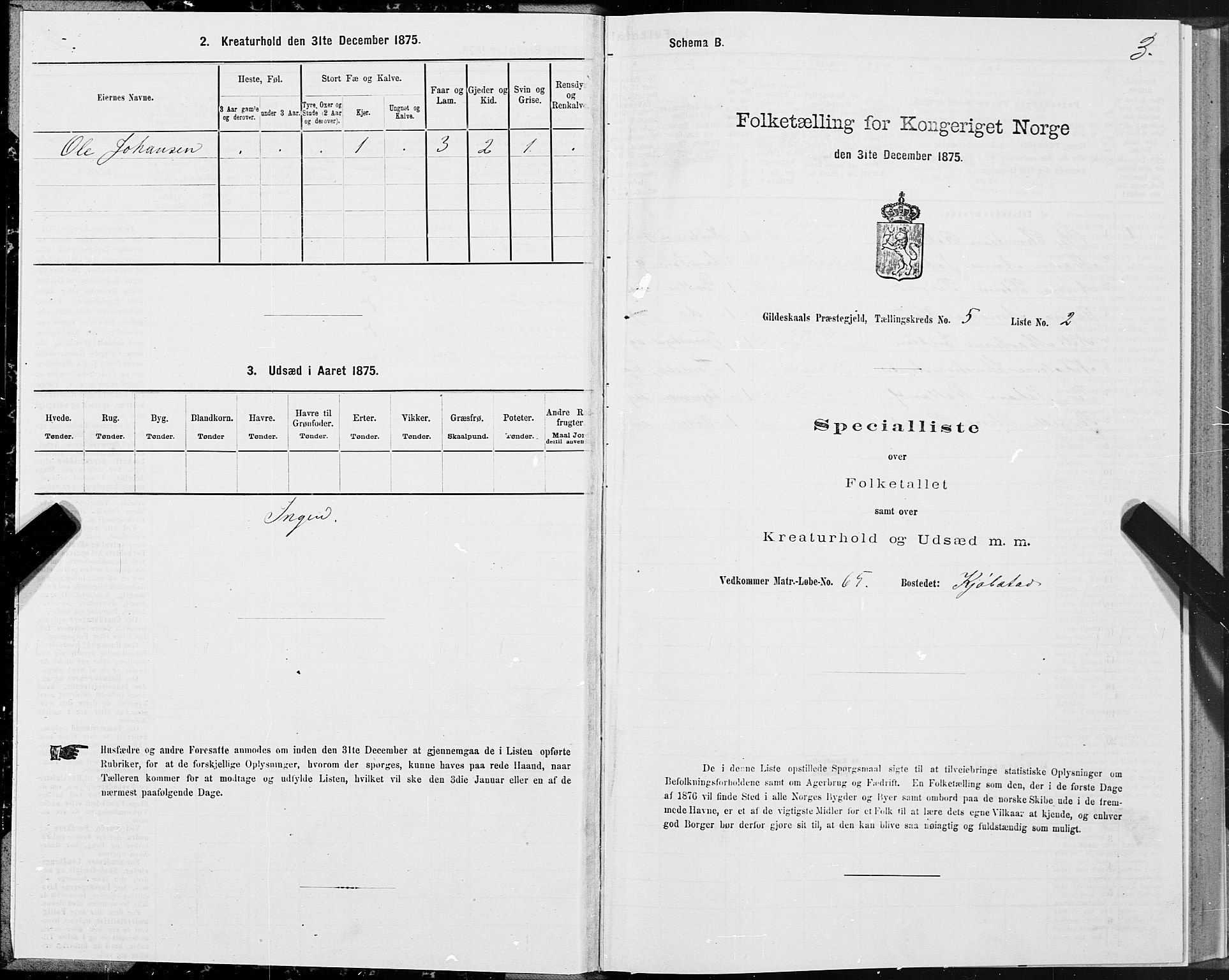 SAT, 1875 census for 1838P Gildeskål, 1875, p. 3003