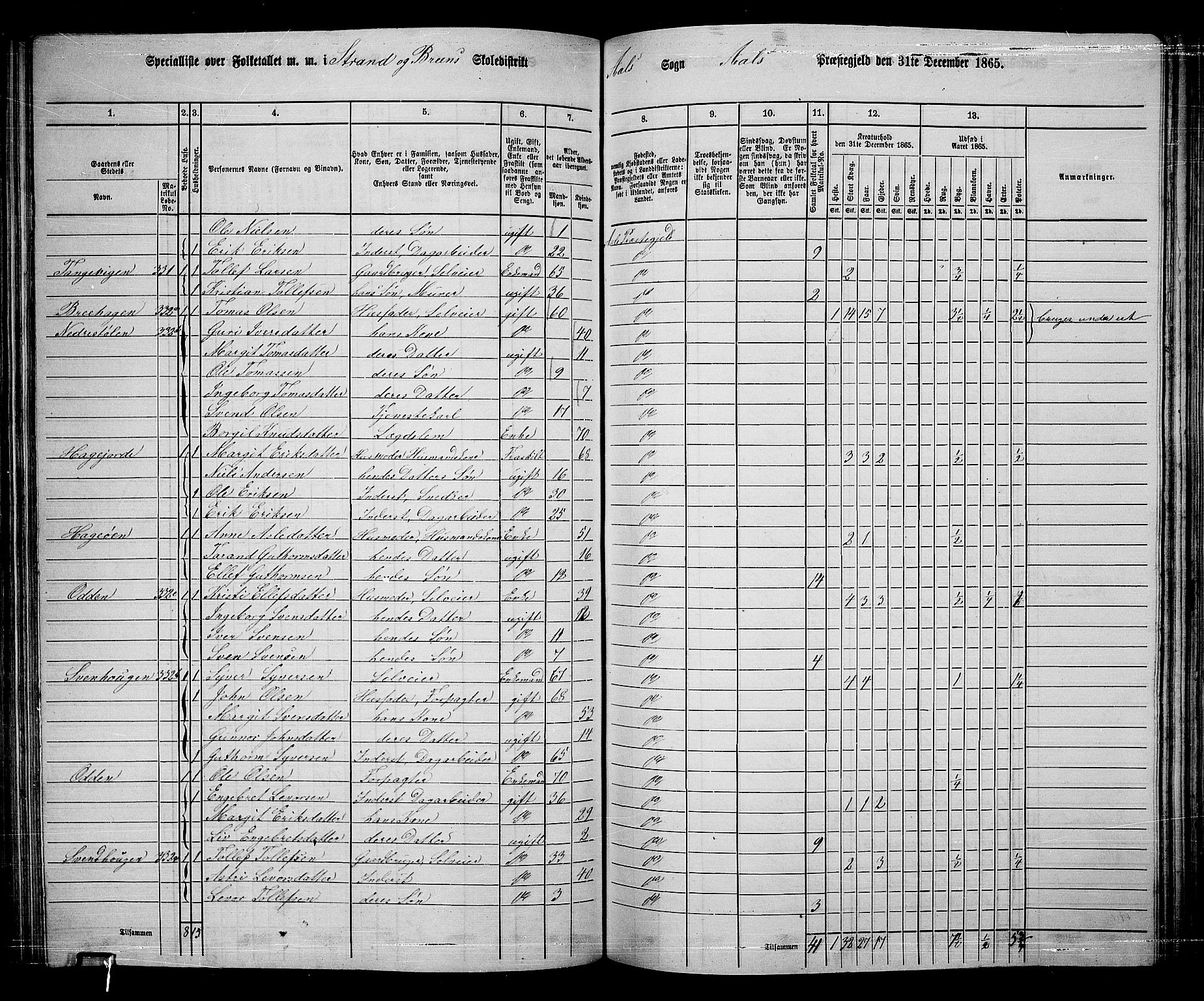 RA, 1865 census for Ål, 1865, p. 164