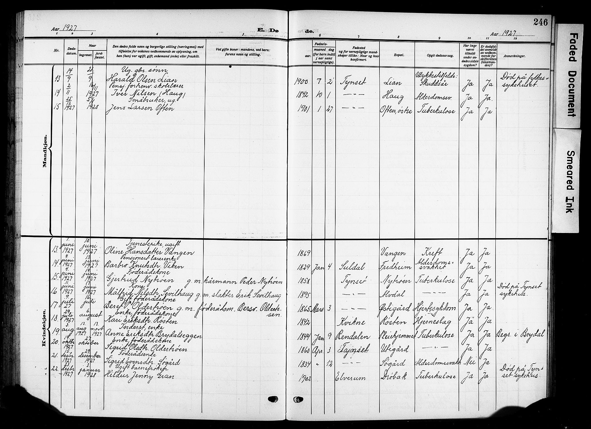 Tynset prestekontor, AV/SAH-PREST-058/H/Ha/Hab/L0011: Parish register (copy) no. 11, 1915-1930, p. 246