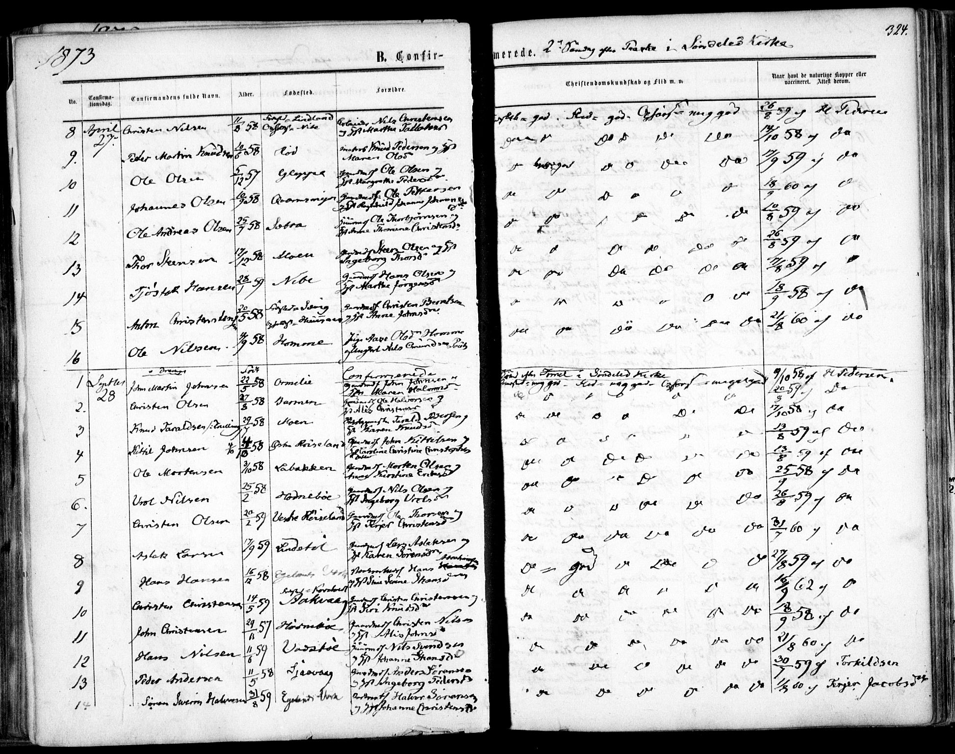 Søndeled sokneprestkontor, AV/SAK-1111-0038/F/Fa/L0003: Parish register (official) no. A 3, 1861-1879, p. 324