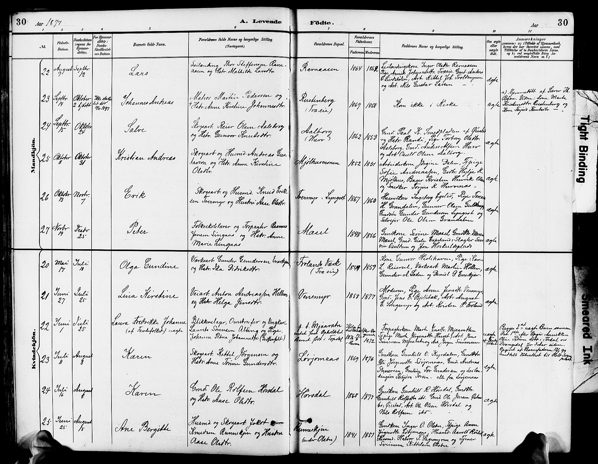 Froland sokneprestkontor, AV/SAK-1111-0013/F/Fb/L0010: Parish register (copy) no. B 10, 1893-1920, p. 30