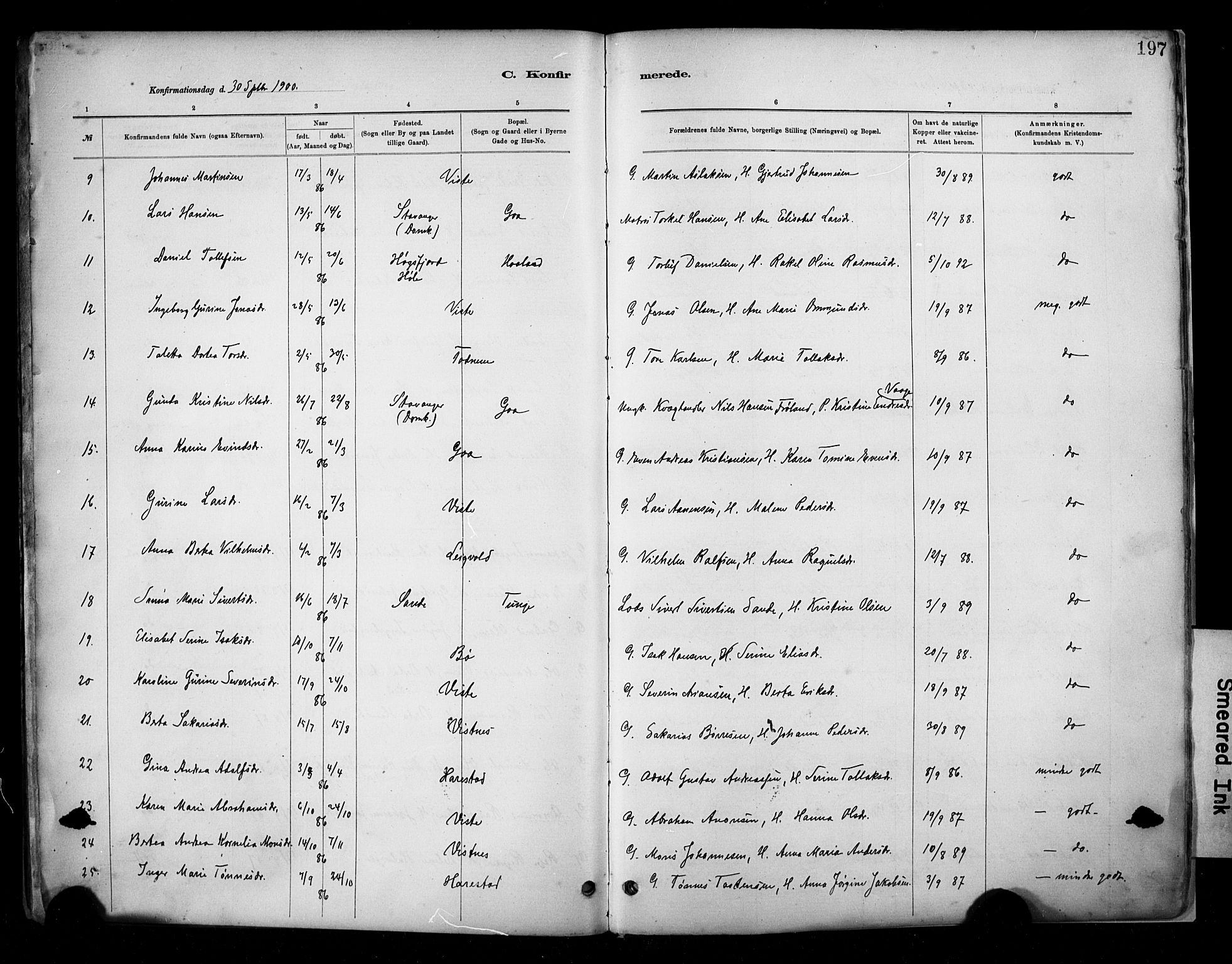 Hetland sokneprestkontor, SAST/A-101826/30/30BA/L0009: Parish register (official) no. A 9, 1882-1918, p. 197