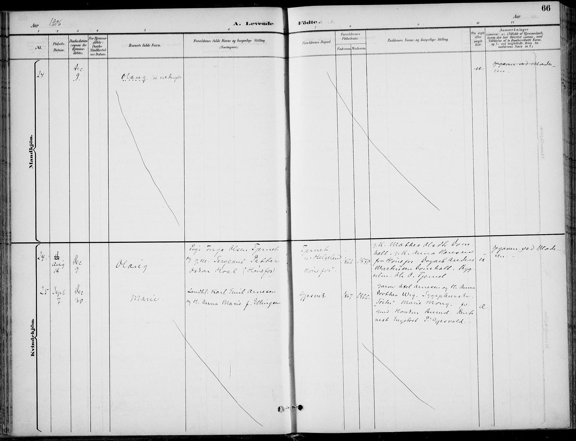 Hole kirkebøker, AV/SAKO-A-228/F/Fa/L0009: Parish register (official) no. I 9, 1892-1907, p. 66