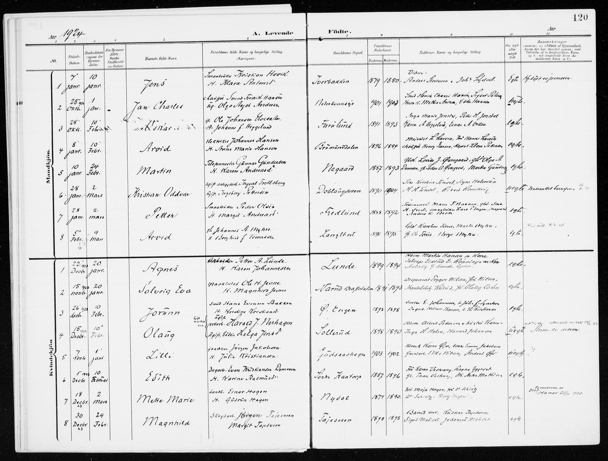 Furnes prestekontor, SAH/PREST-012/K/Ka/L0001: Parish register (official) no. 1, 1907-1935, p. 120