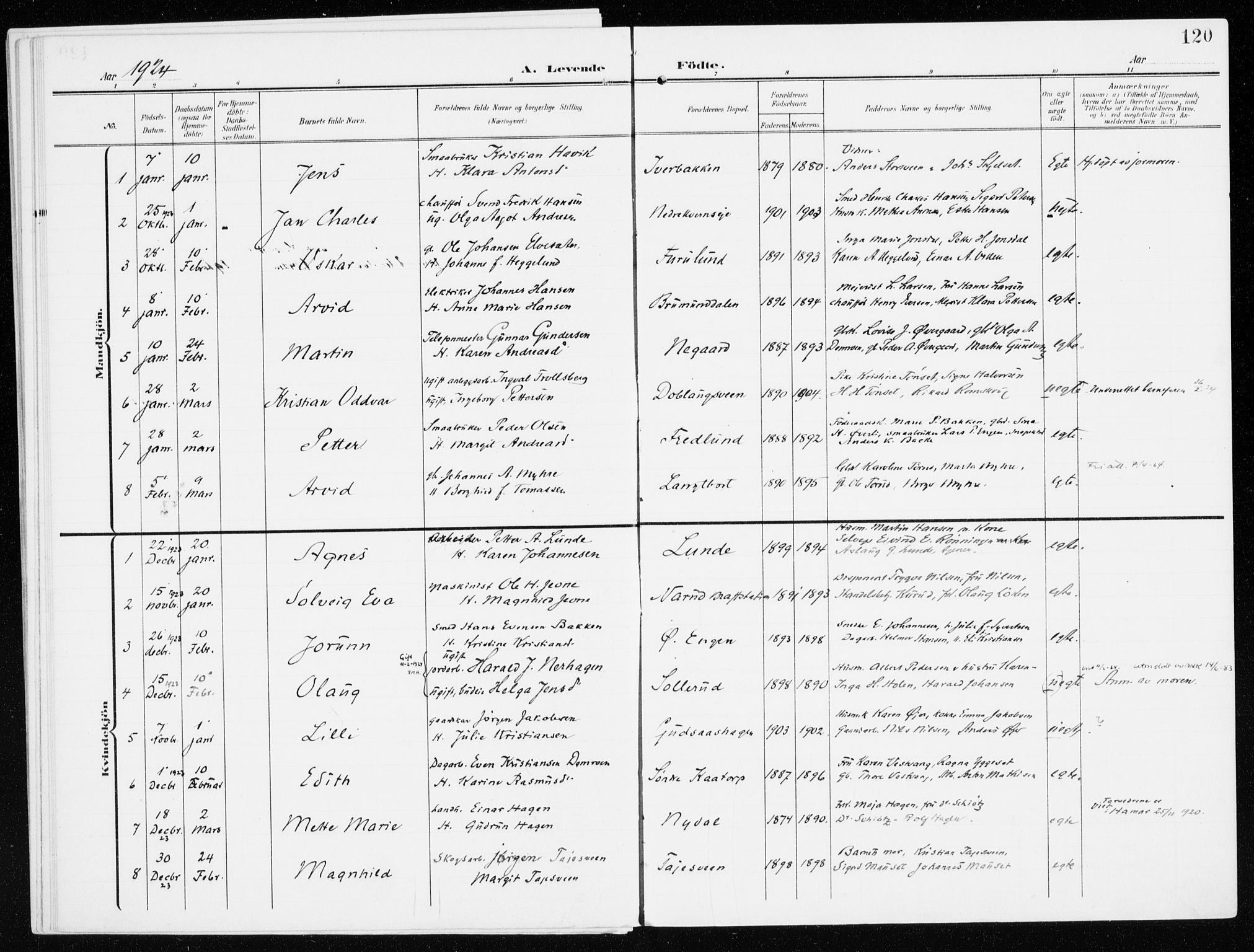 Furnes prestekontor, AV/SAH-PREST-012/K/Ka/L0001: Parish register (official) no. 1, 1907-1935, p. 120