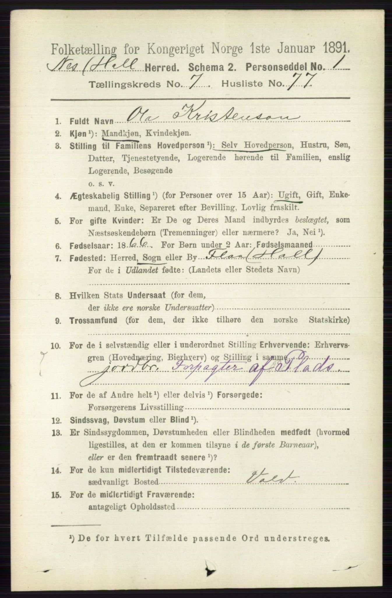 RA, 1891 census for 0616 Nes, 1891, p. 4043