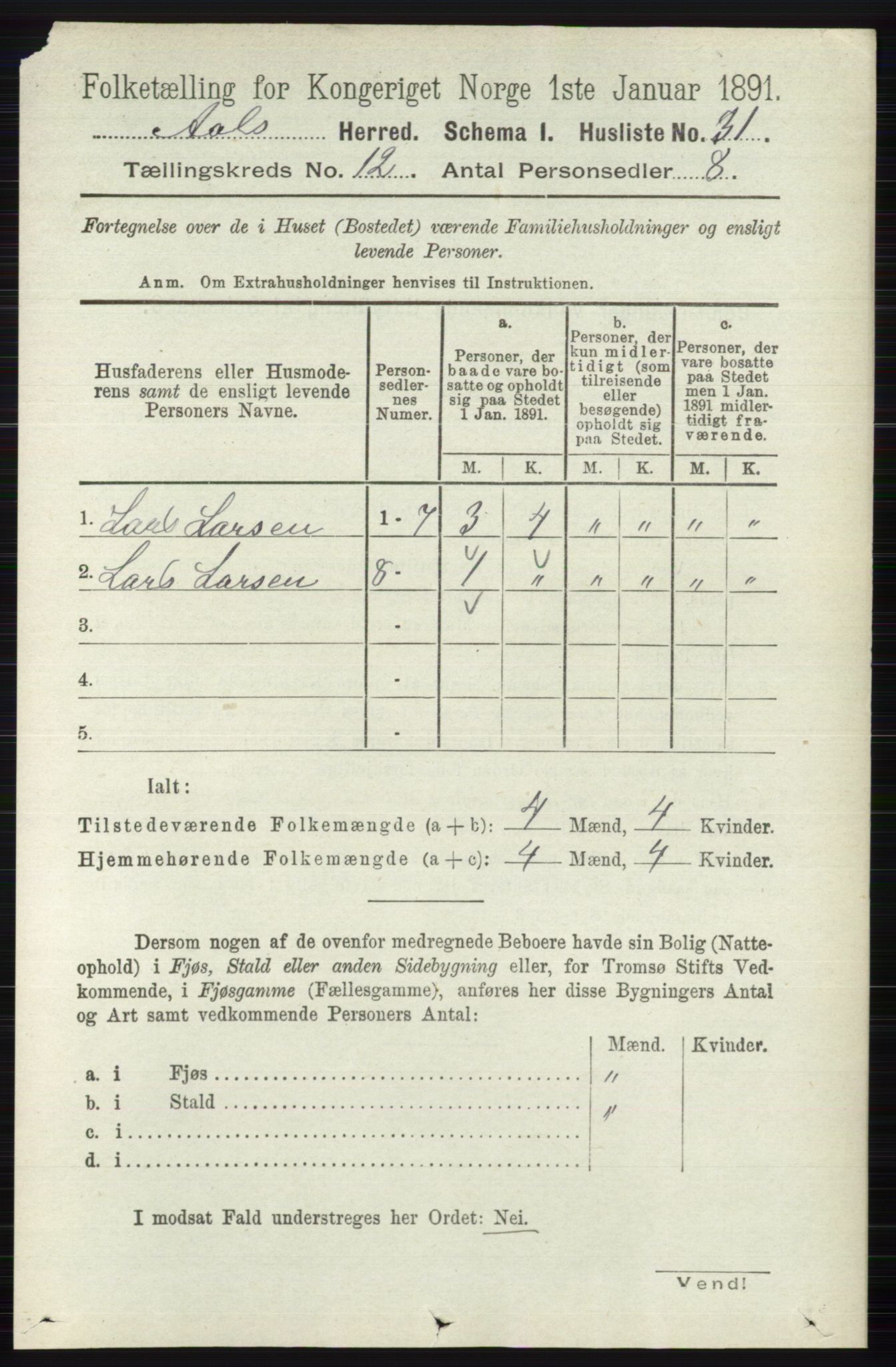 RA, 1891 census for 0619 Ål, 1891, p. 3000