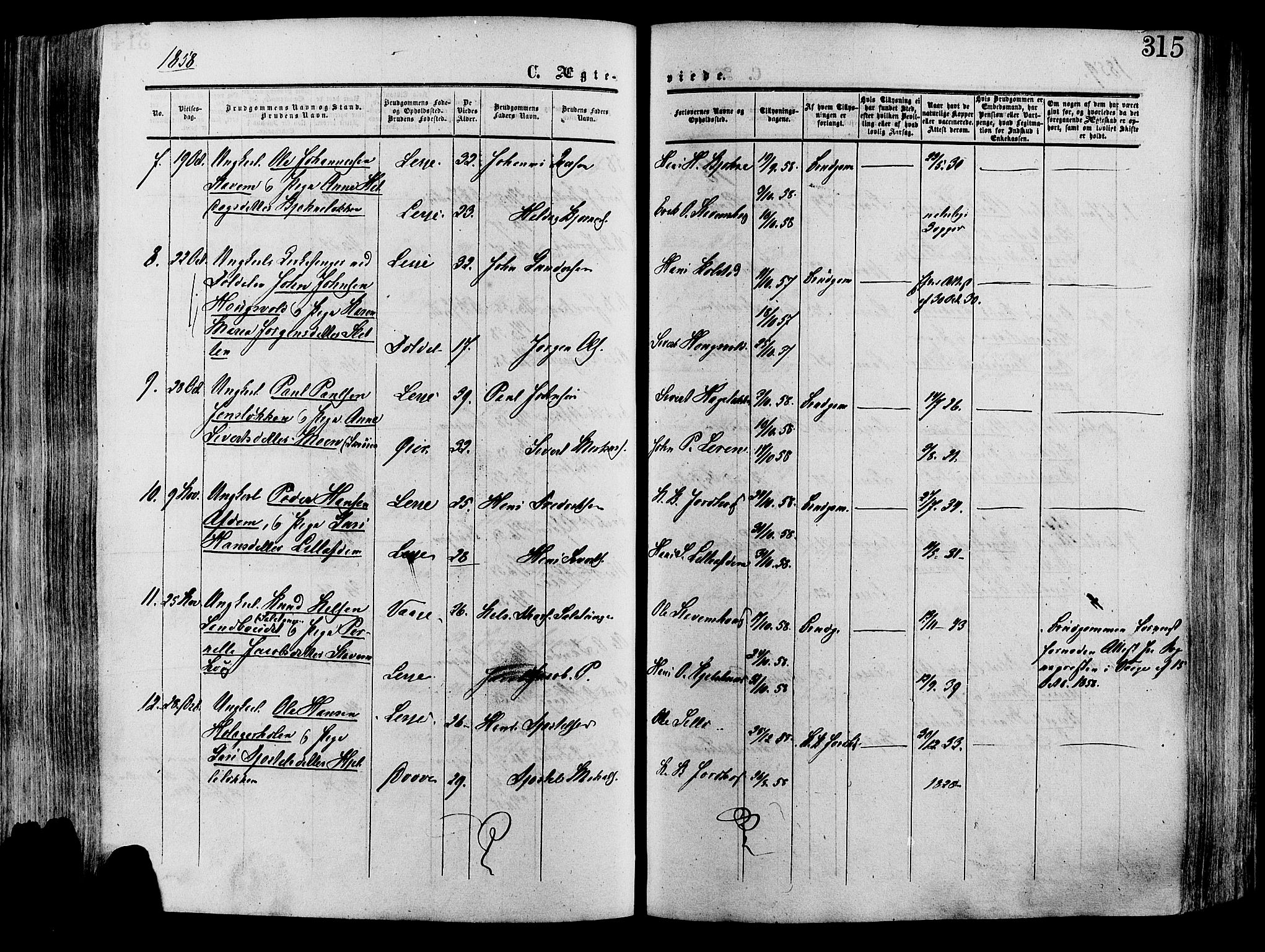 Lesja prestekontor, SAH/PREST-068/H/Ha/Haa/L0008: Parish register (official) no. 8, 1854-1880, p. 315