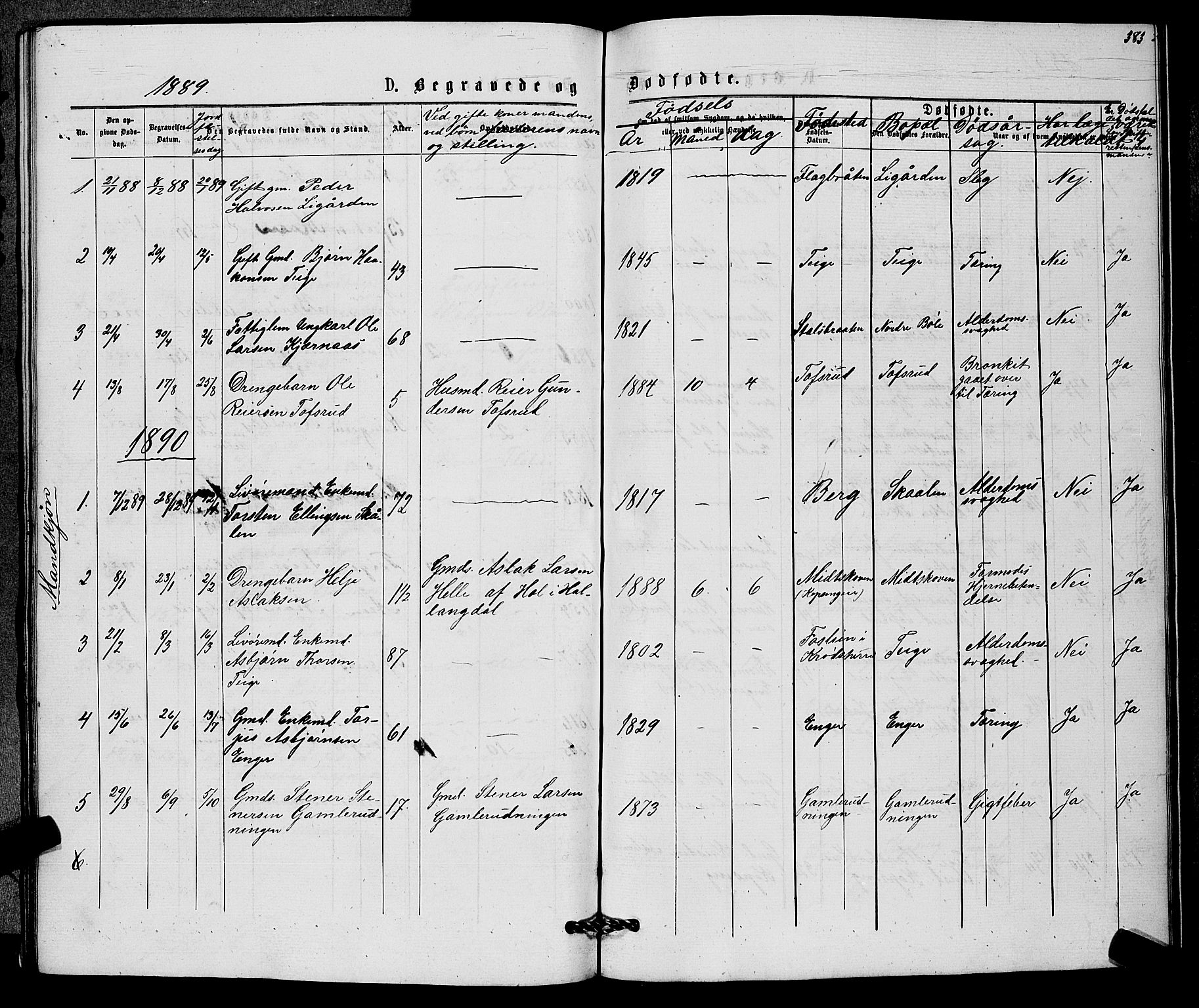 Sigdal kirkebøker, AV/SAKO-A-245/G/Gb/L0002: Parish register (copy) no. II 2, 1875-1900, p. 383