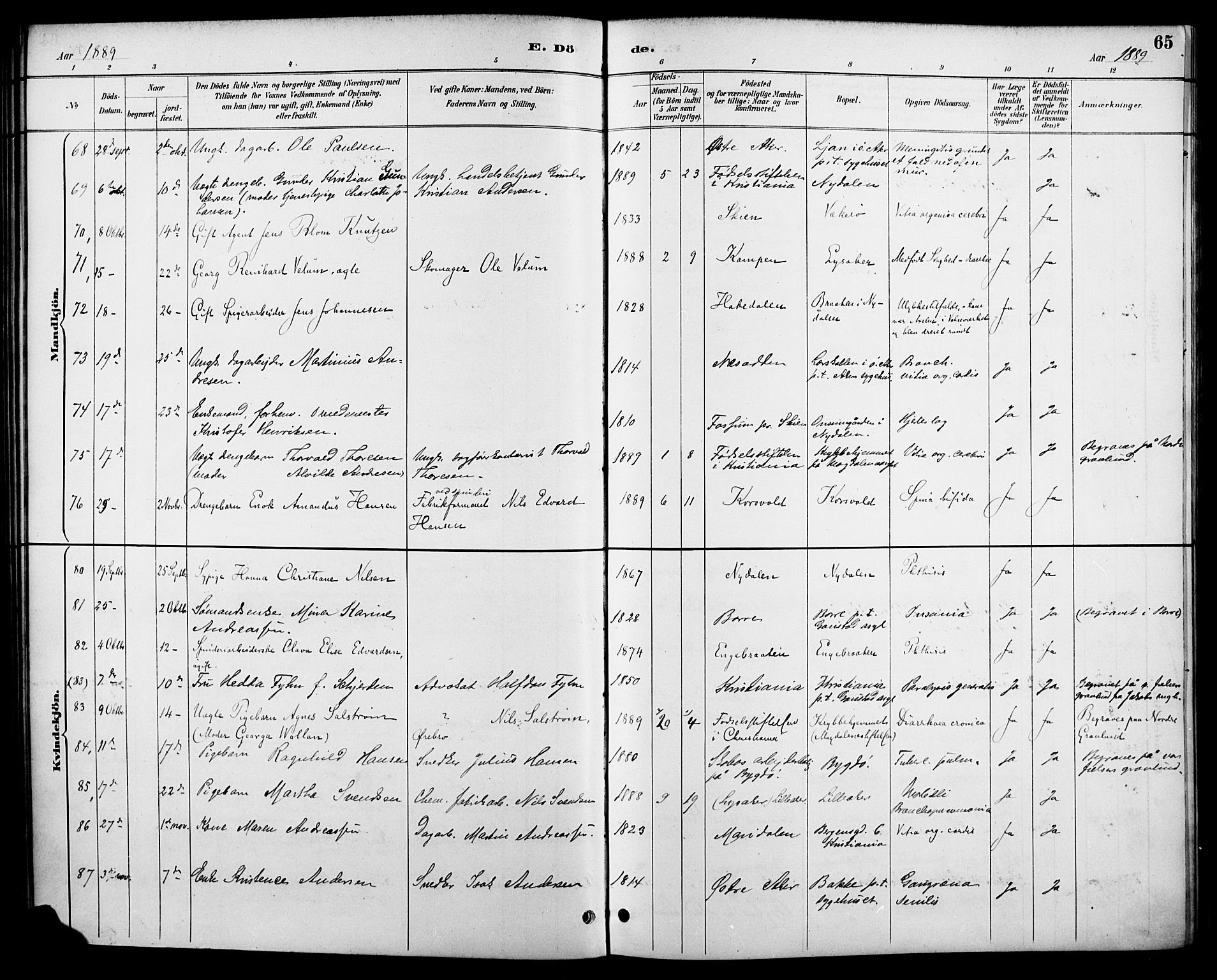 Vestre Aker prestekontor Kirkebøker, AV/SAO-A-10025/F/Fa/L0011: Parish register (official) no. 11, 1886-1904, p. 65