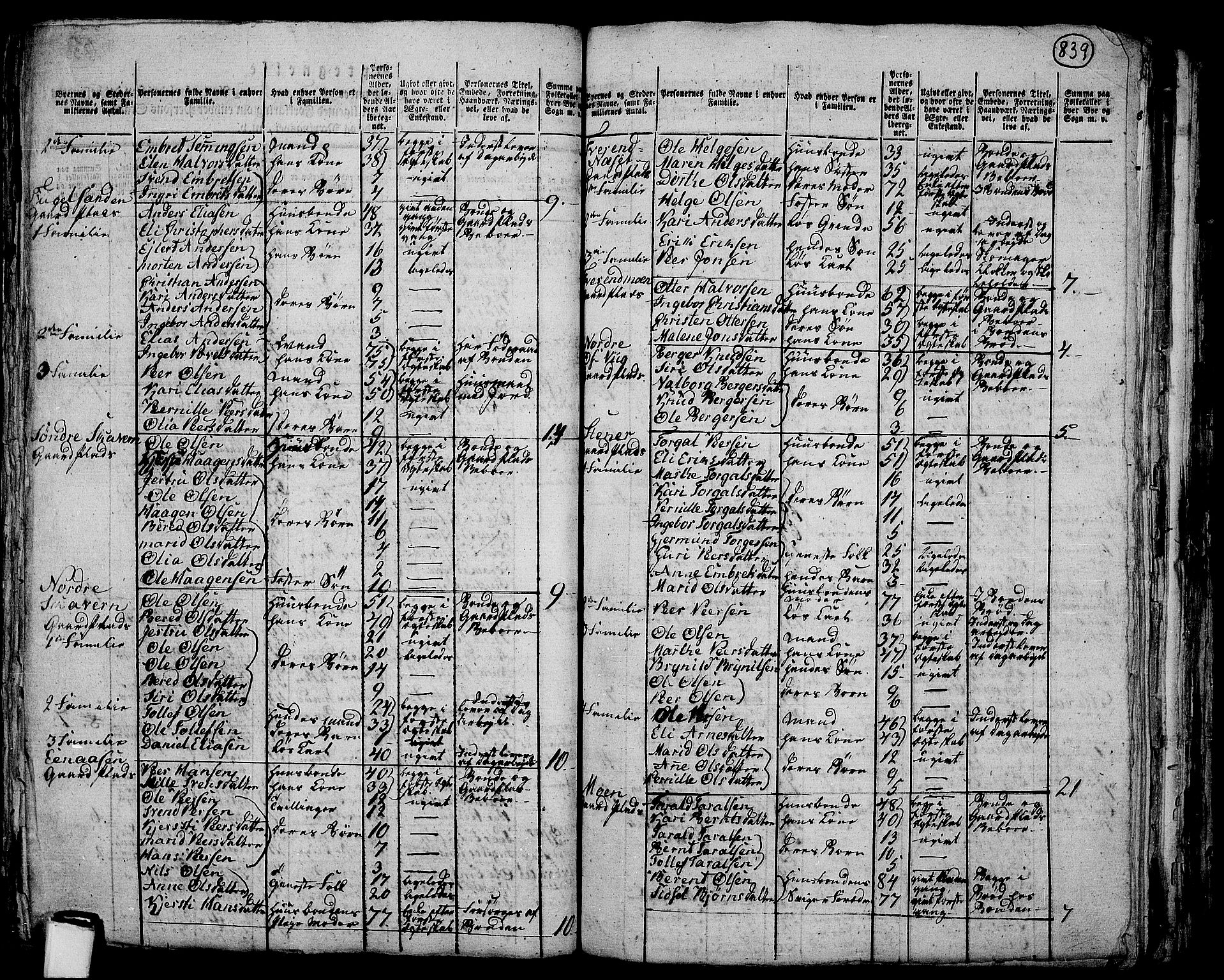 RA, 1801 census for 0428P Trysil, 1801, p. 838b-839a