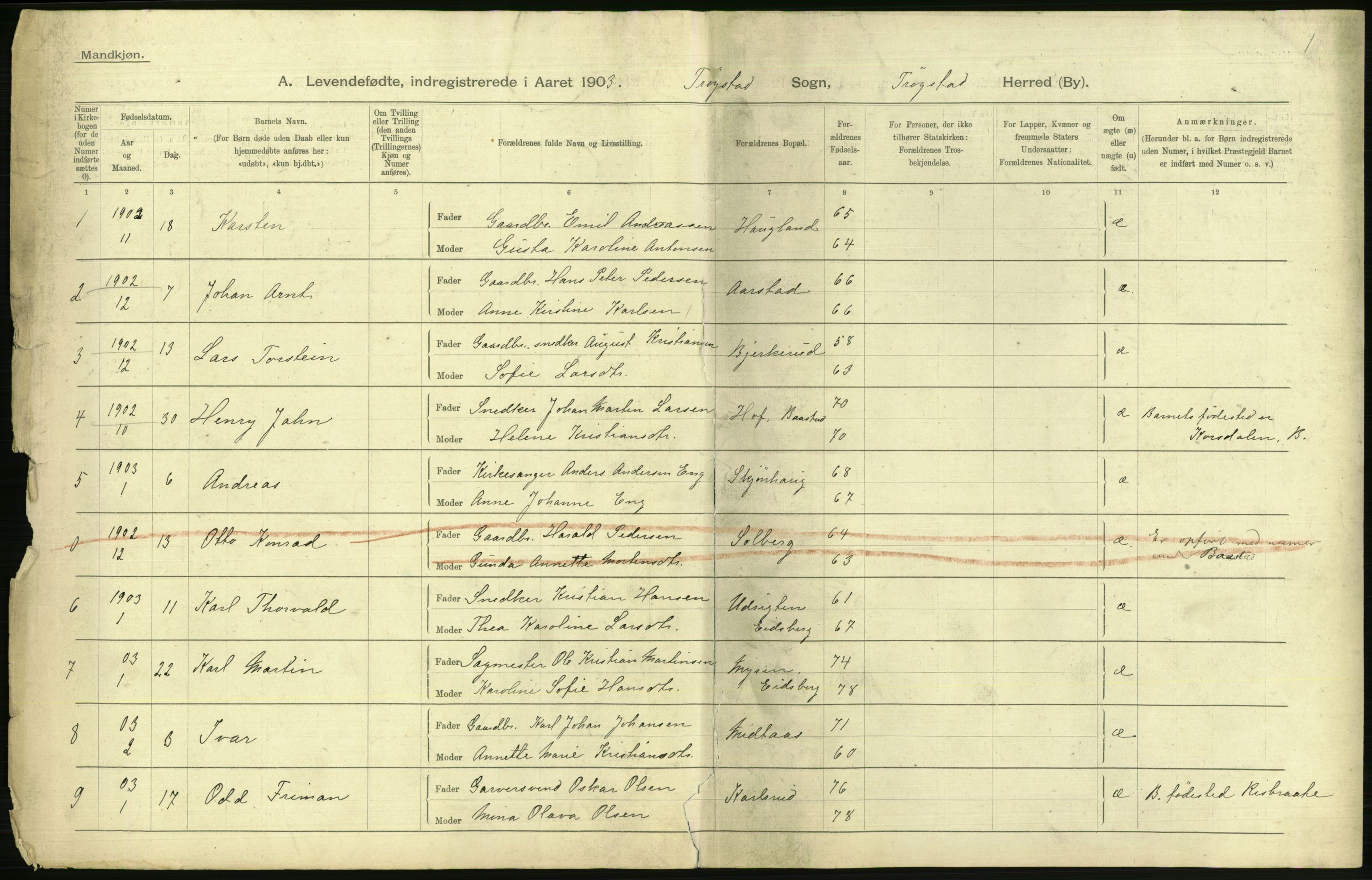 Statistisk sentralbyrå, Sosiodemografiske emner, Befolkning, AV/RA-S-2228/D/Df/Dfa/Dfaa/L0001: Smålenenes amt: Fødte, gifte, døde, 1903, p. 356