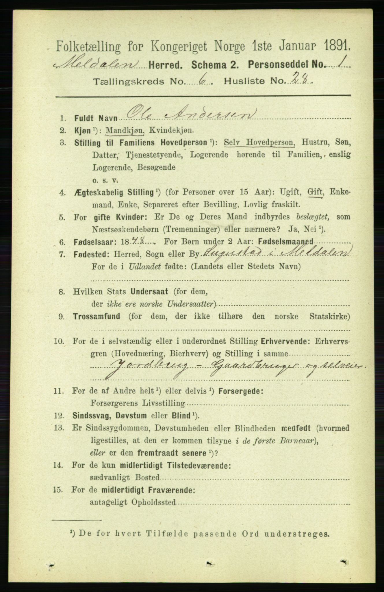 RA, 1891 census for 1636 Meldal, 1891, p. 3033