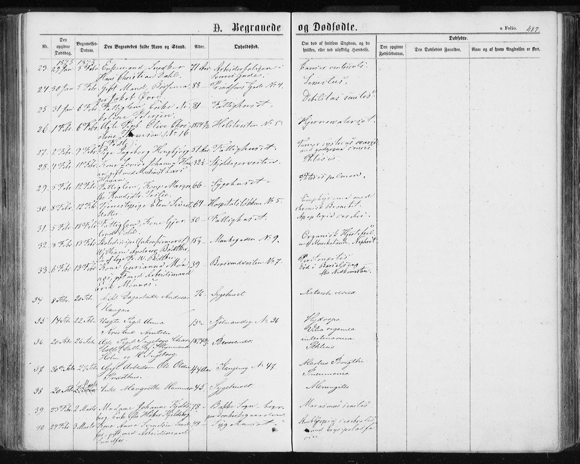 Ministerialprotokoller, klokkerbøker og fødselsregistre - Sør-Trøndelag, AV/SAT-A-1456/601/L0055: Parish register (official) no. 601A23, 1866-1877, p. 487