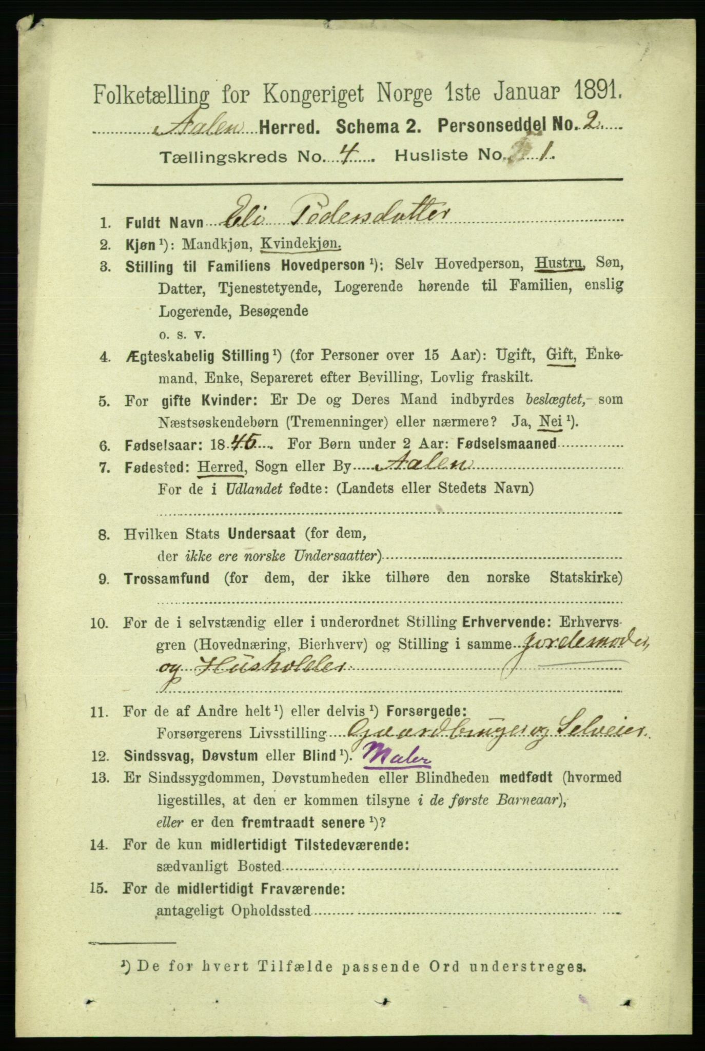 RA, 1891 census for 1644 Ålen, 1891, p. 1167