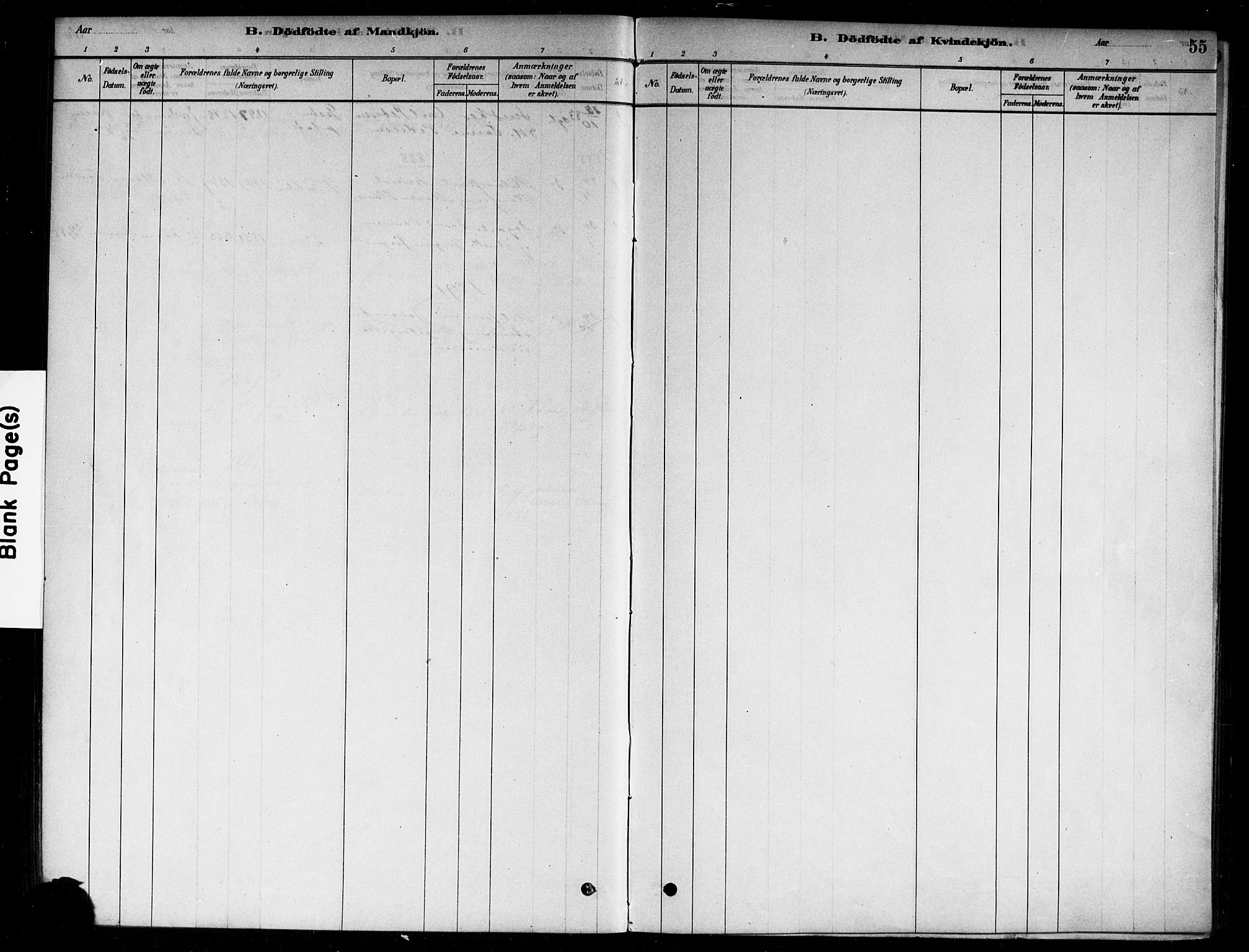 Moss prestekontor Kirkebøker, AV/SAO-A-2003/F/Fc/L0001: Parish register (official) no. III 1, 1878-1894, p. 55