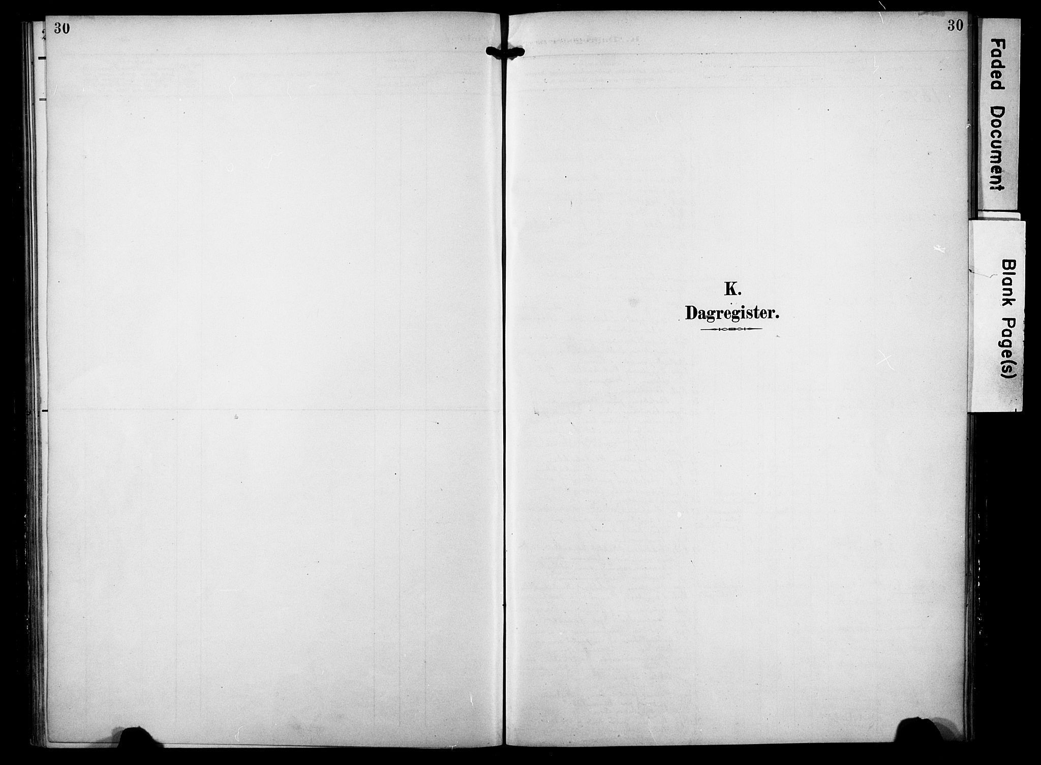 Borre kirkebøker, SAKO/A-338/F/Fa/L0010: Parish register (official) no. I 10, 1892-1896, p. 30