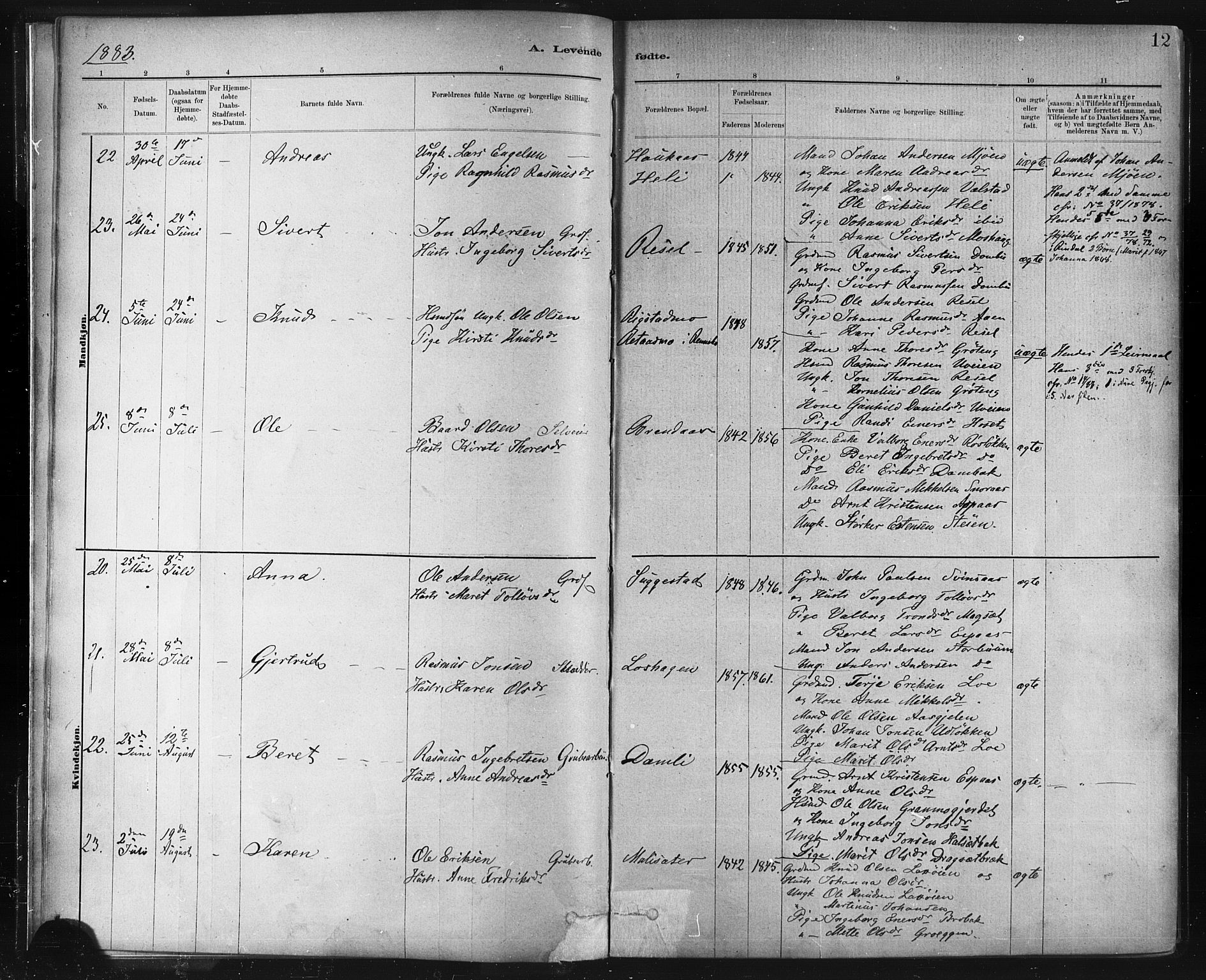 Ministerialprotokoller, klokkerbøker og fødselsregistre - Sør-Trøndelag, SAT/A-1456/672/L0857: Parish register (official) no. 672A09, 1882-1893, p. 12