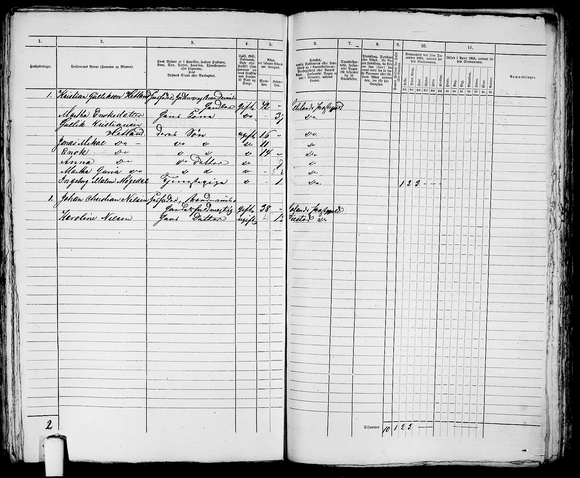 RA, 1865 census for Eigersund parish, Egersund town, 1865, p. 399