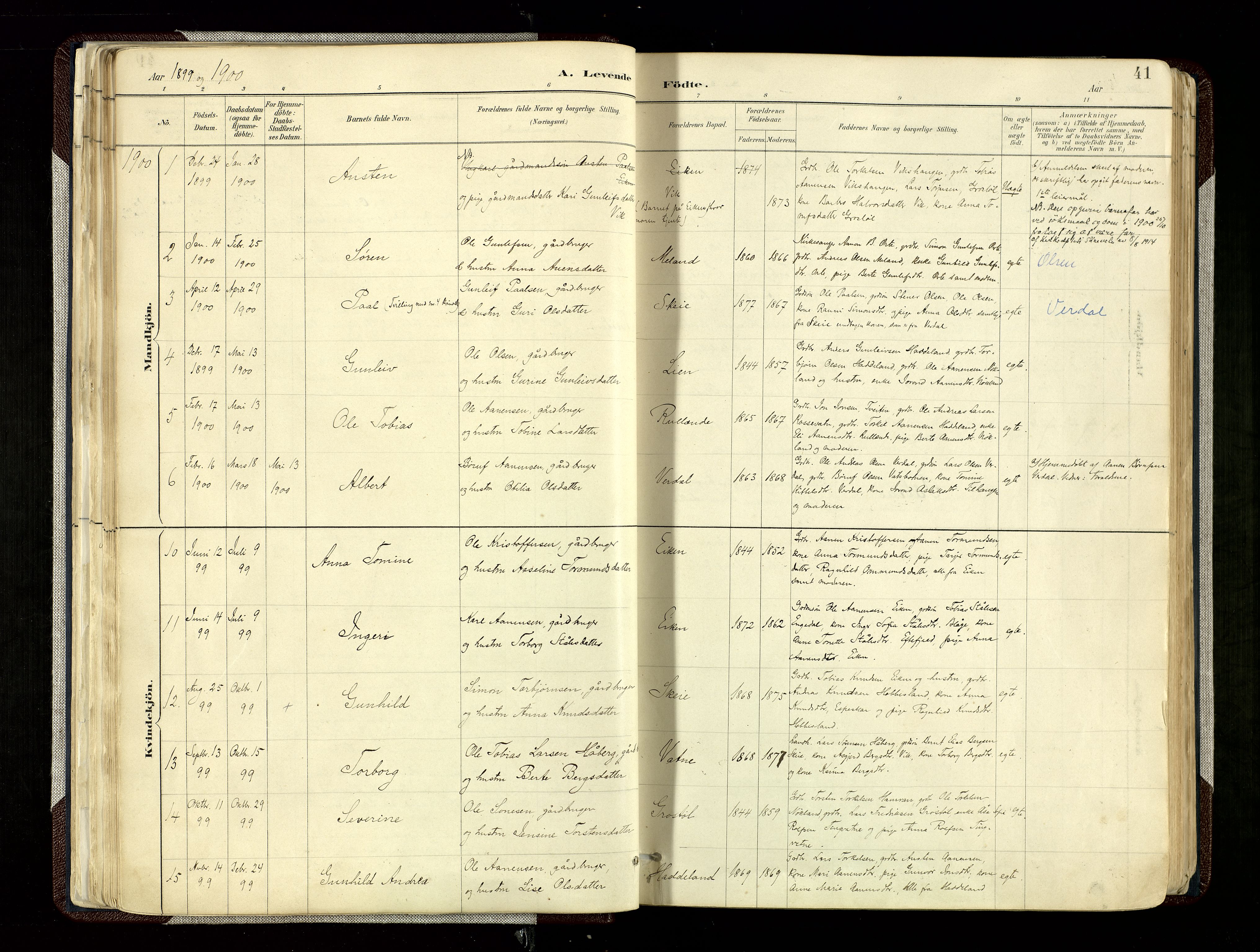 Hægebostad sokneprestkontor, SAK/1111-0024/F/Fa/Fab/L0004: Parish register (official) no. A 4, 1887-1929, p. 41