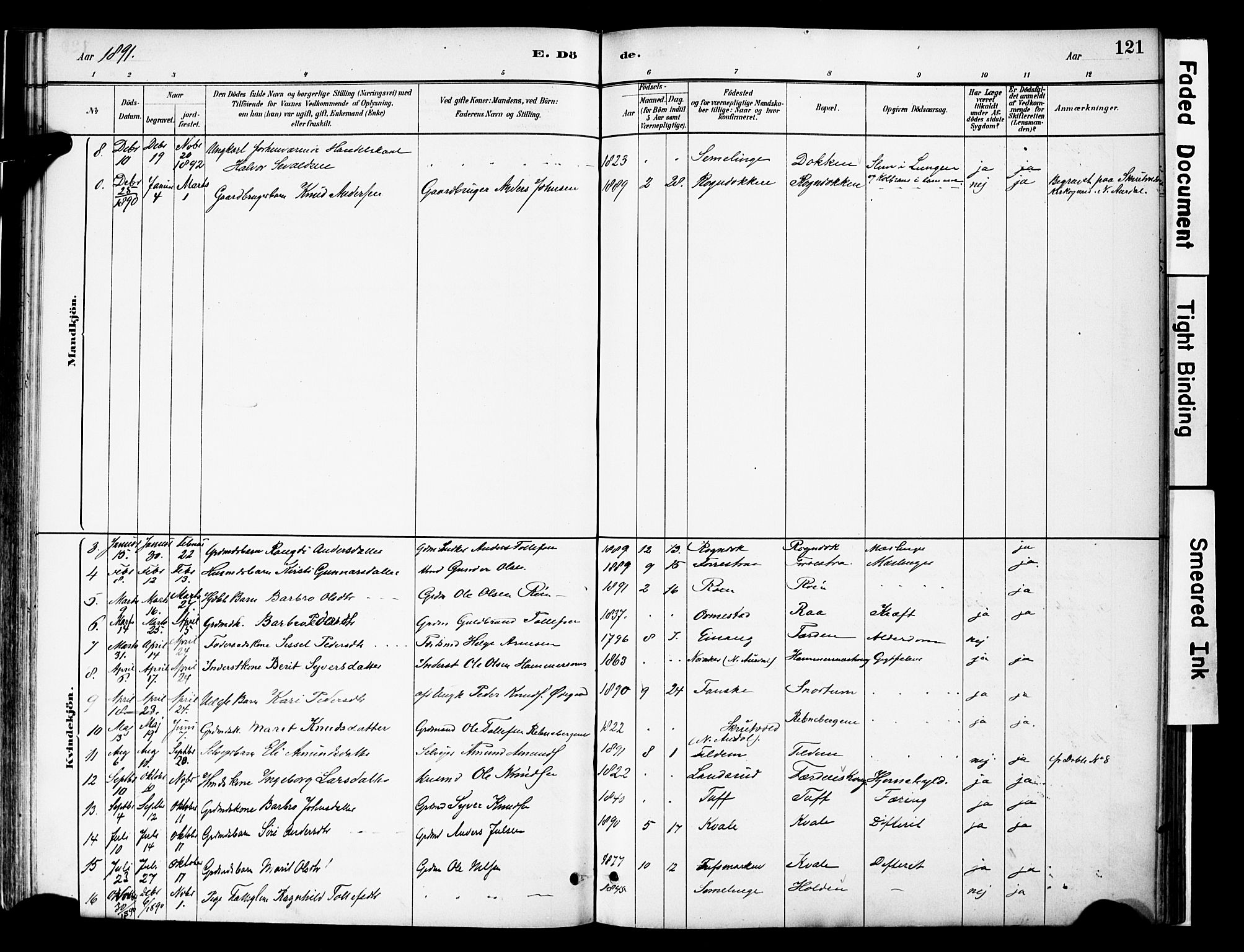 Vestre Slidre prestekontor, AV/SAH-PREST-136/H/Ha/Haa/L0006: Parish register (official) no. 6, 1881-1912, p. 121