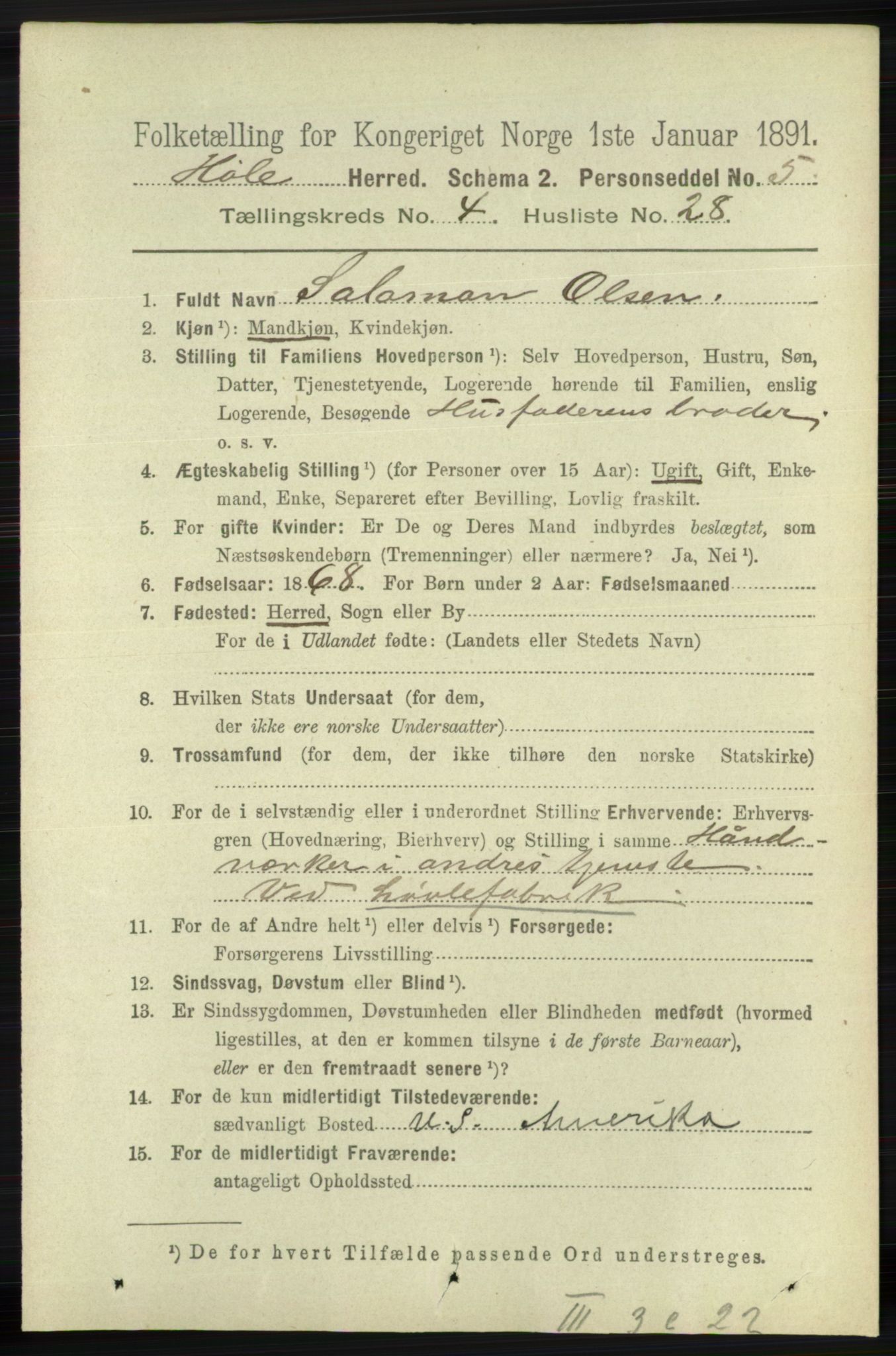 RA, 1891 census for 1128 Høle, 1891, p. 1010