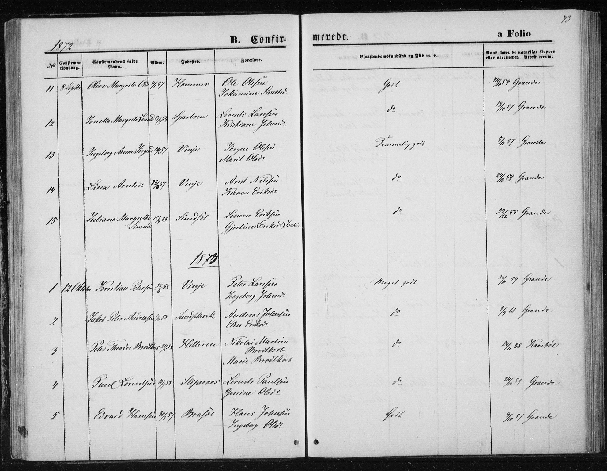 Ministerialprotokoller, klokkerbøker og fødselsregistre - Nord-Trøndelag, SAT/A-1458/733/L0324: Parish register (official) no. 733A03, 1870-1883, p. 73