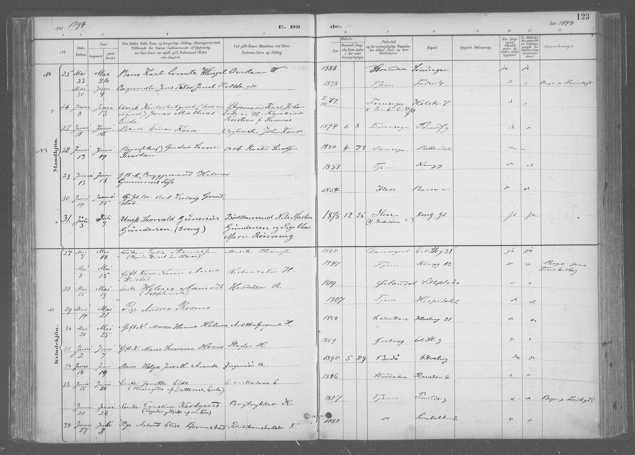 Ministerialprotokoller, klokkerbøker og fødselsregistre - Sør-Trøndelag, AV/SAT-A-1456/601/L0064: Parish register (official) no. 601A31, 1891-1911, p. 123