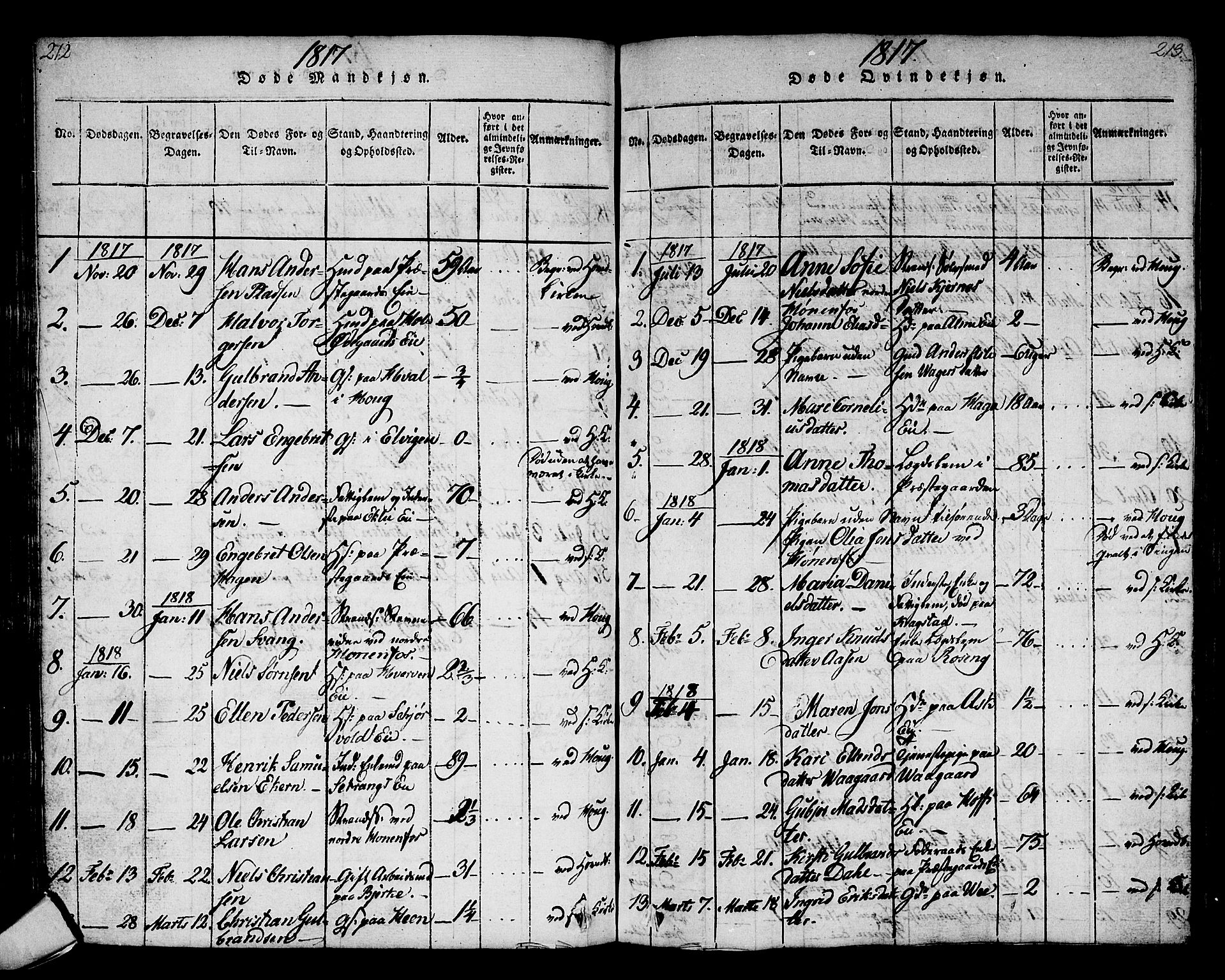 Norderhov kirkebøker, AV/SAKO-A-237/G/Ga/L0002: Parish register (copy) no. I 2, 1814-1867, p. 212-213