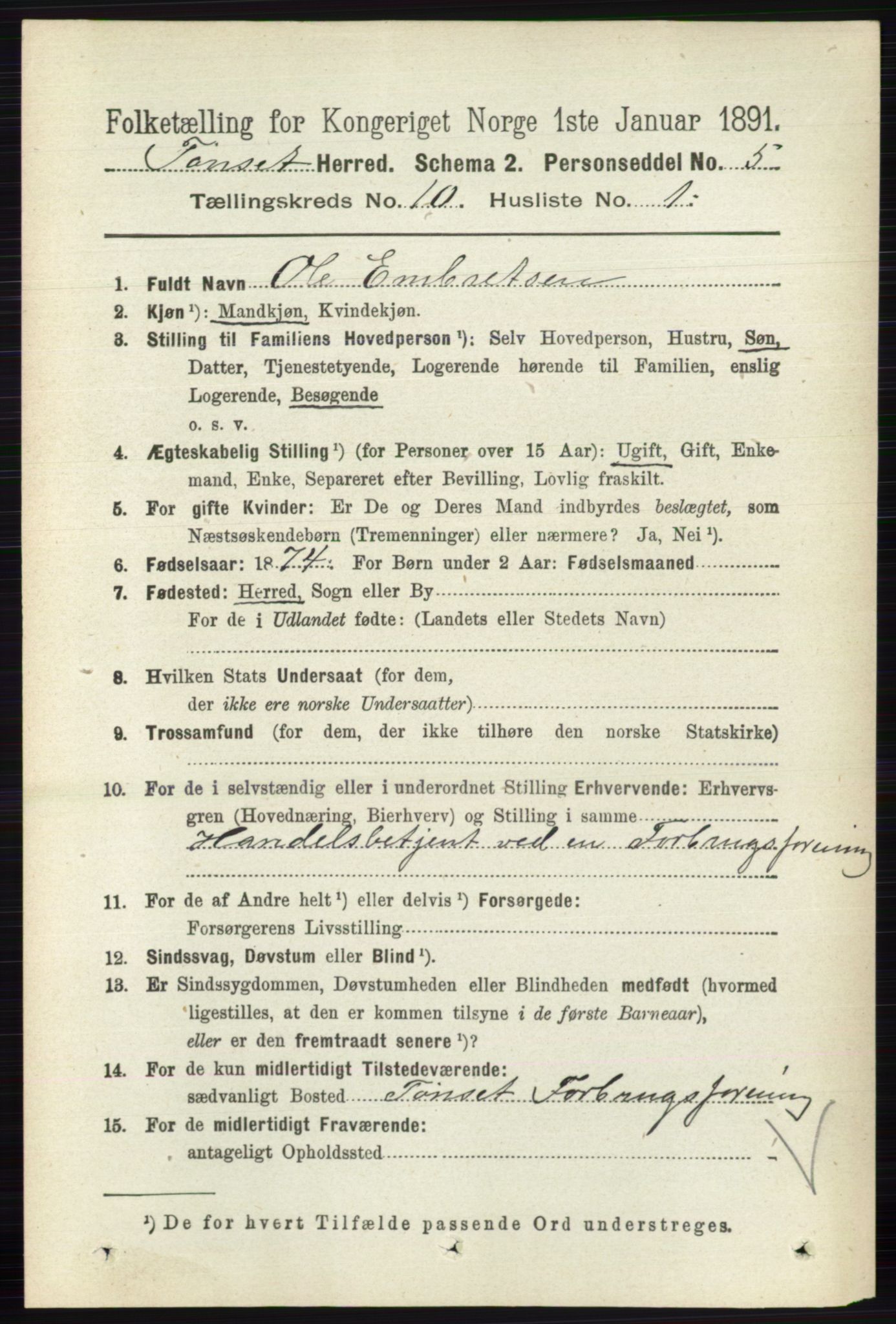 RA, 1891 census for 0437 Tynset, 1891, p. 2843