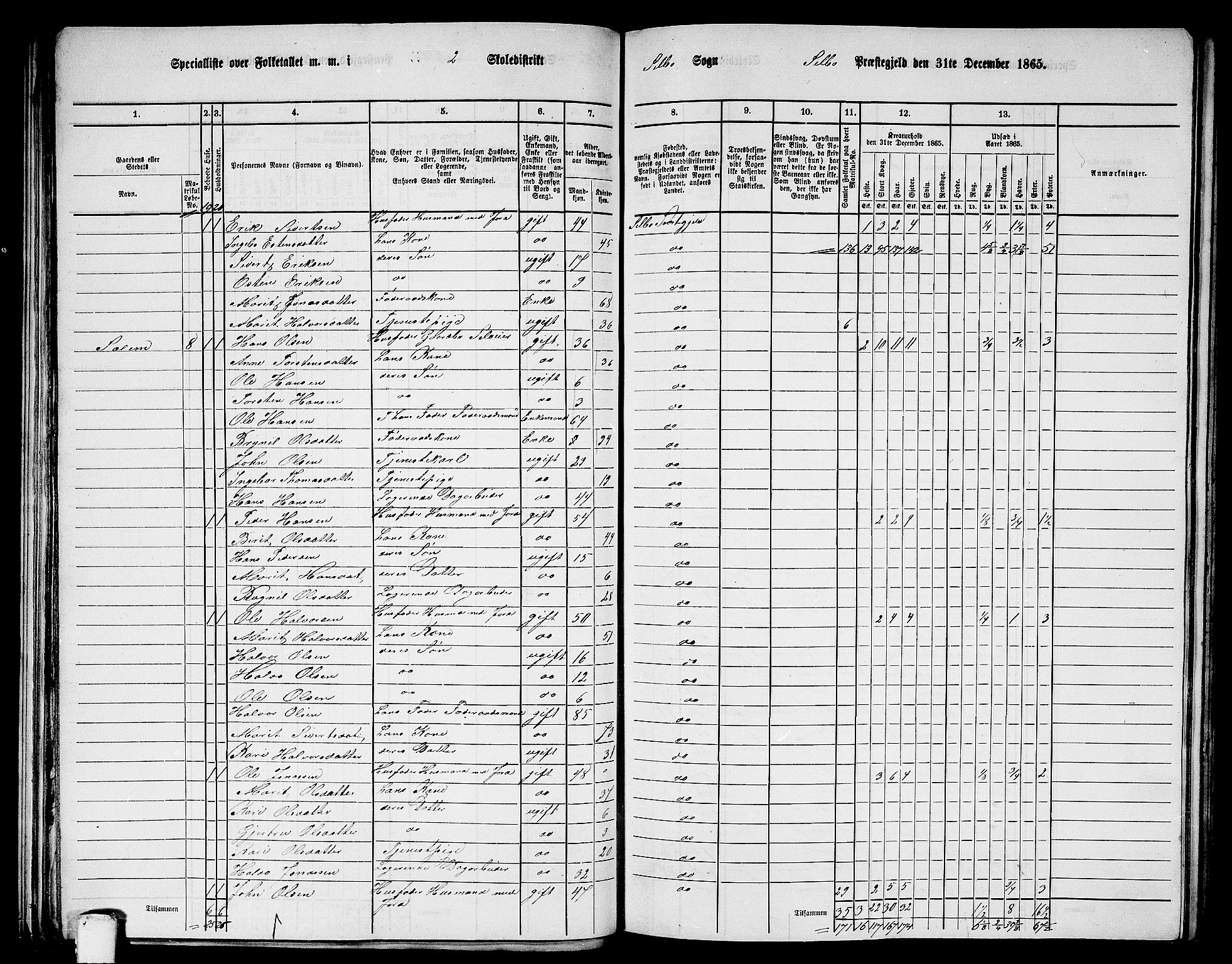 RA, 1865 census for Selbu, 1865, p. 22