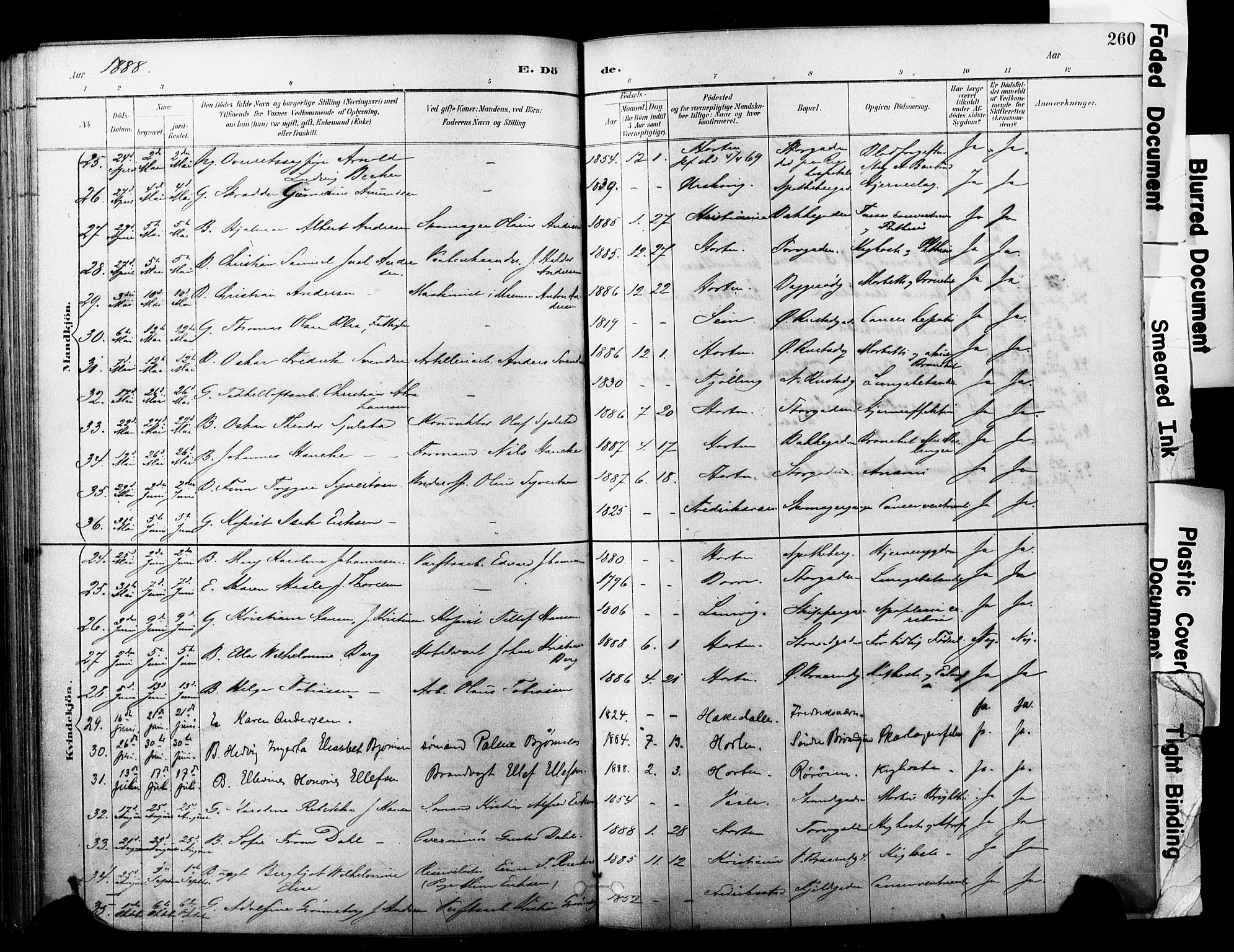 Horten kirkebøker, SAKO/A-348/F/Fa/L0004: Parish register (official) no. 4, 1888-1895, p. 260