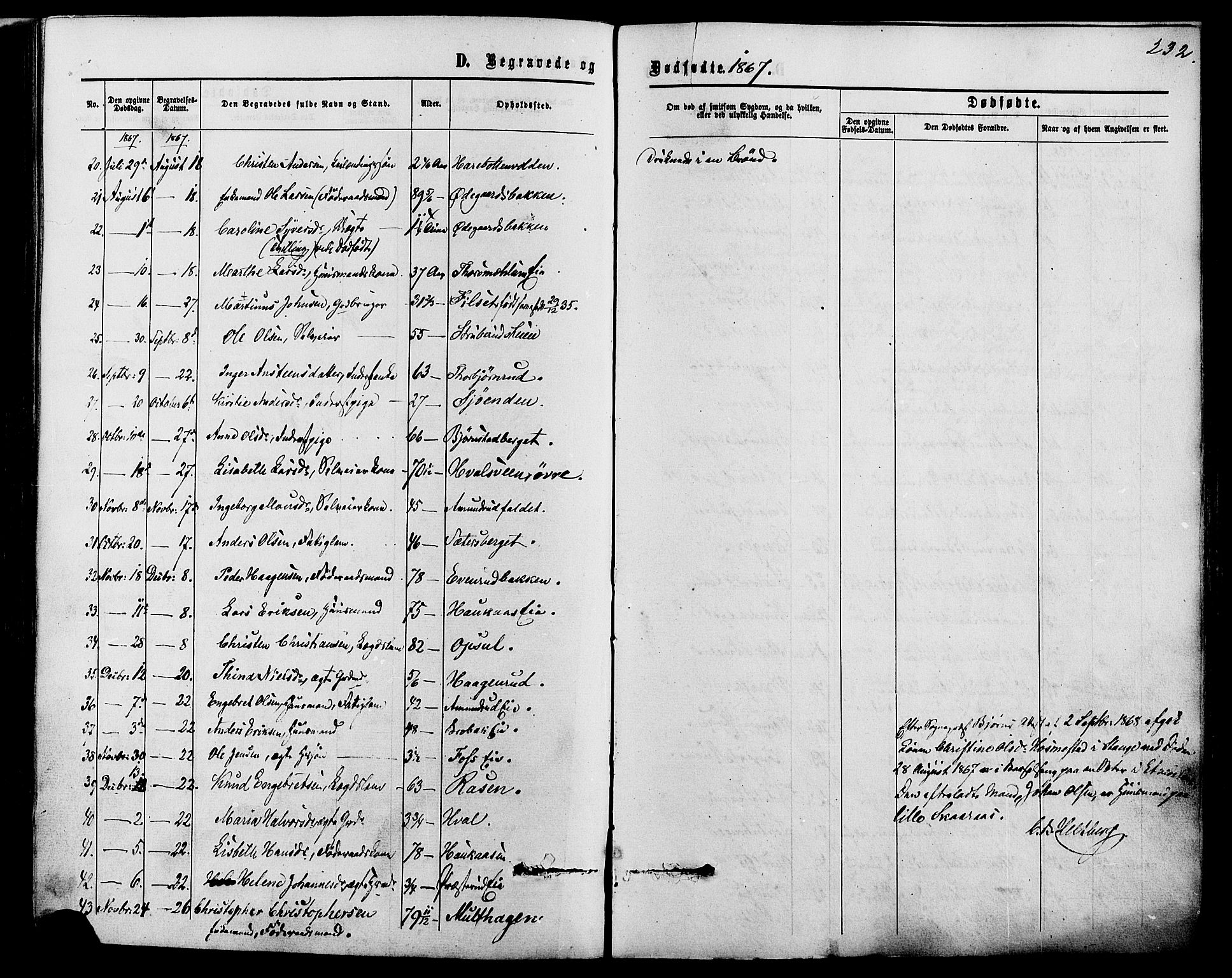 Romedal prestekontor, SAH/PREST-004/K/L0006: Parish register (official) no. 6, 1866-1886, p. 232