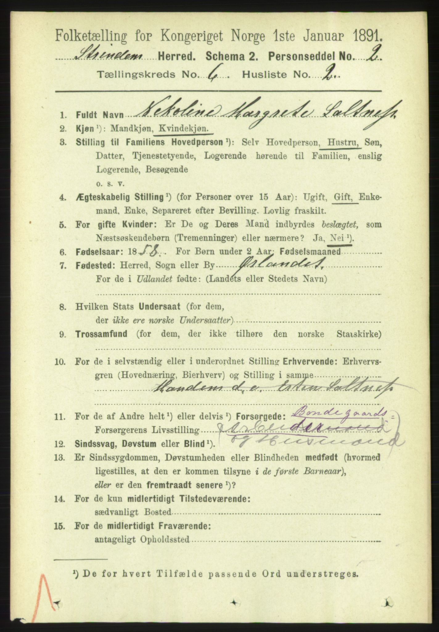 RA, 1891 census for 1660 Strinda, 1891, p. 5304