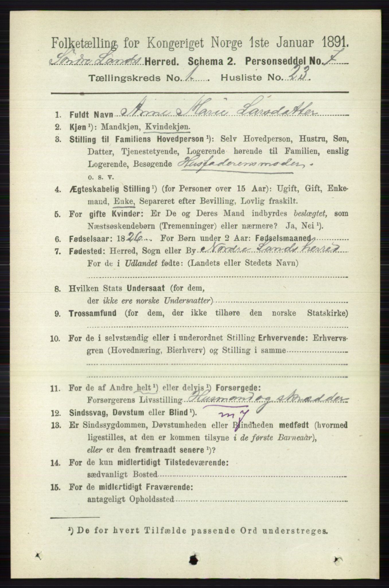 RA, 1891 census for 0536 Søndre Land, 1891, p. 291