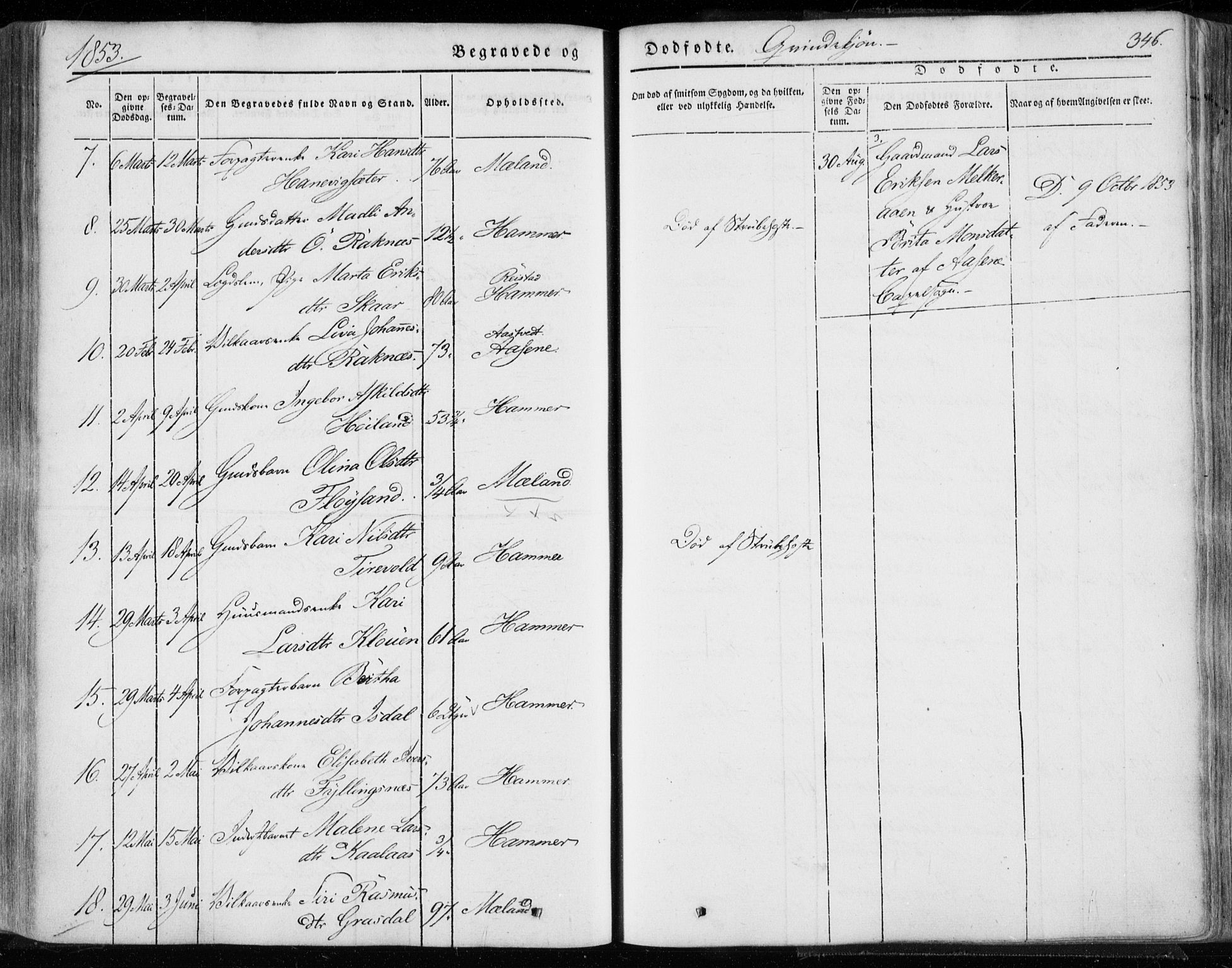 Hamre sokneprestembete, AV/SAB-A-75501/H/Ha/Haa/Haaa/L0013: Parish register (official) no. A 13, 1846-1857, p. 346