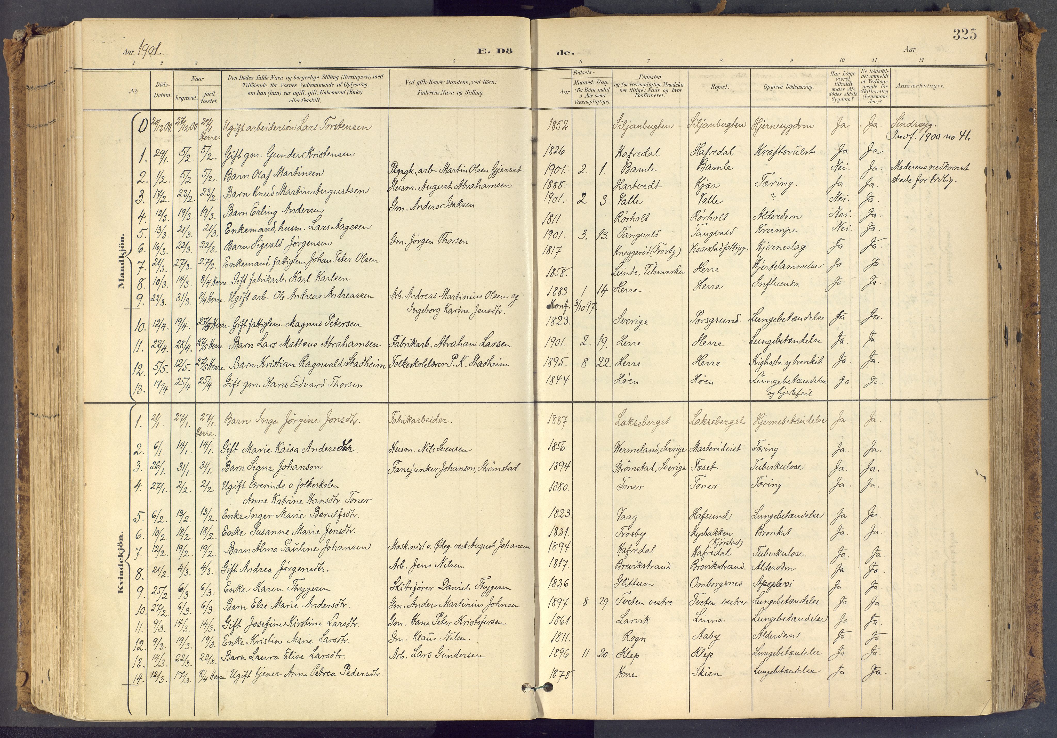 Bamble kirkebøker, SAKO/A-253/F/Fa/L0009: Parish register (official) no. I 9, 1901-1917, p. 325