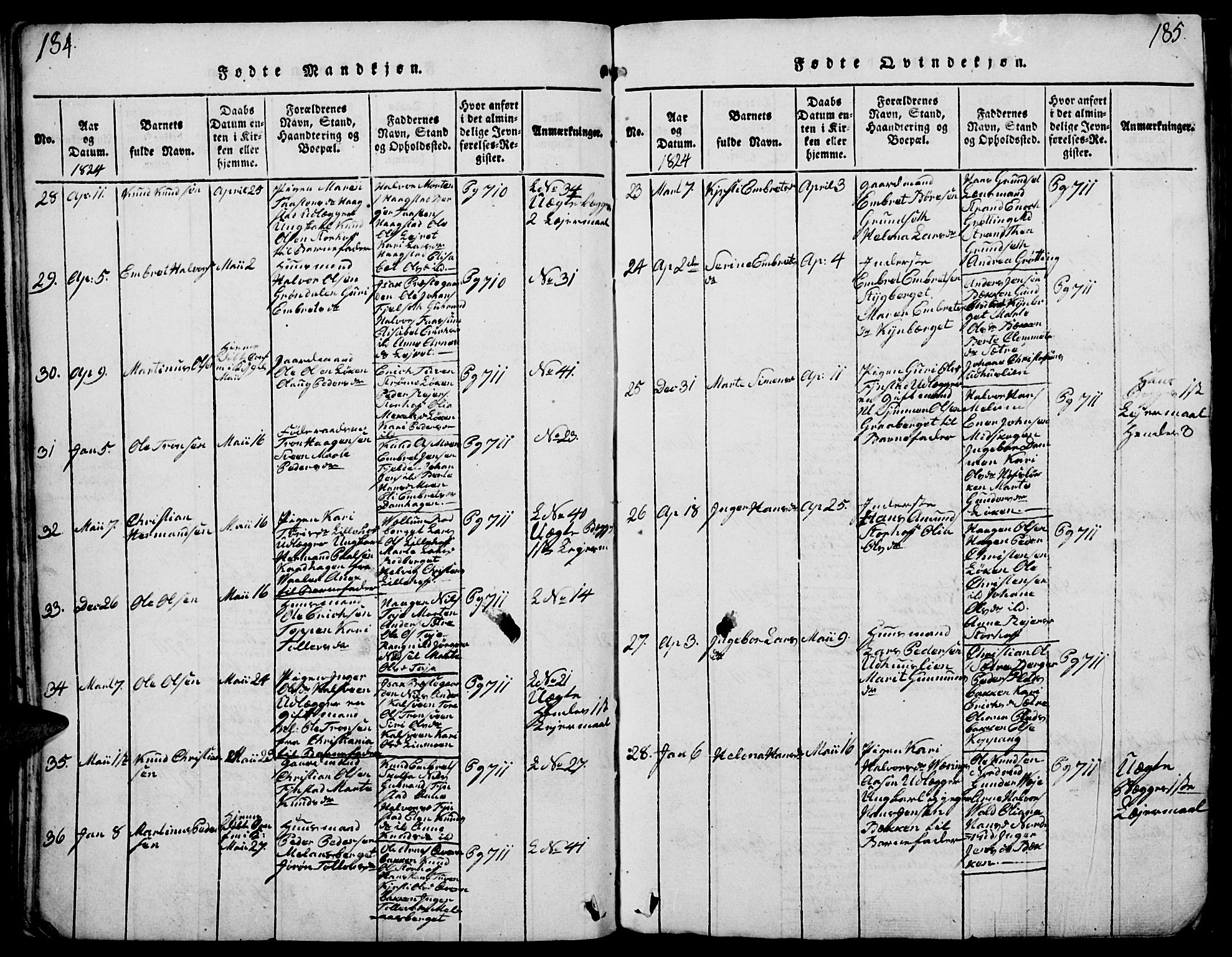 Elverum prestekontor, AV/SAH-PREST-044/H/Ha/Haa/L0007: Parish register (official) no. 7, 1815-1830, p. 184-185